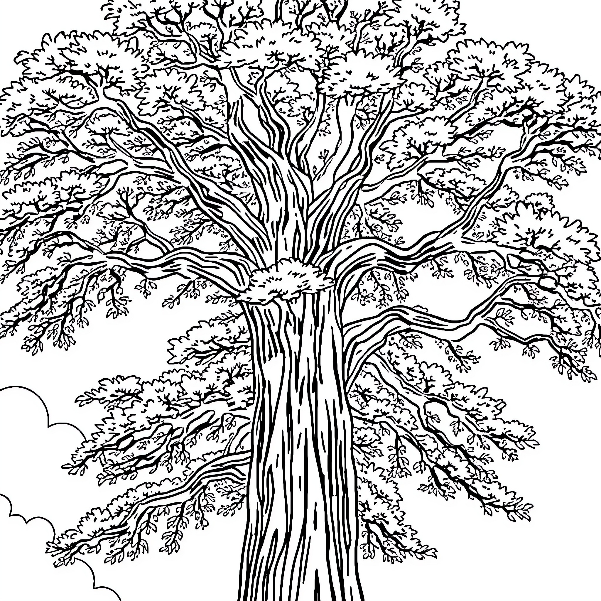 Tree with Intricate Branches and Leaves Coloring Page (free black-and-white line drawing printable PDF for all, from beginners to advanced learners, including children, teens, adults, and seniors)