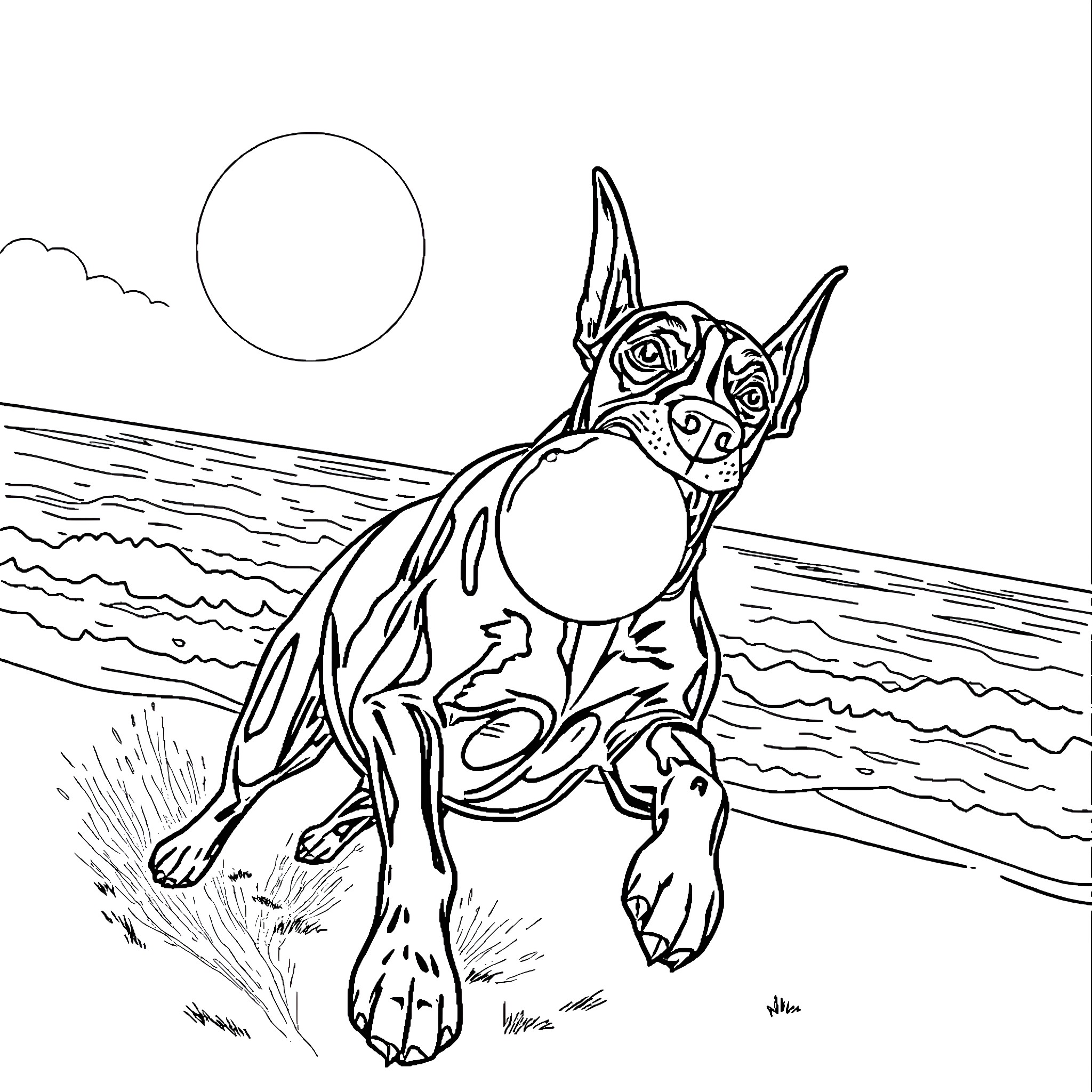 Doberman gazing at the sunset by the ocean Coloring Page (free black-and-white line drawing printable PDF for all, from beginners to advanced learners, including children, teens, adults, and seniors)