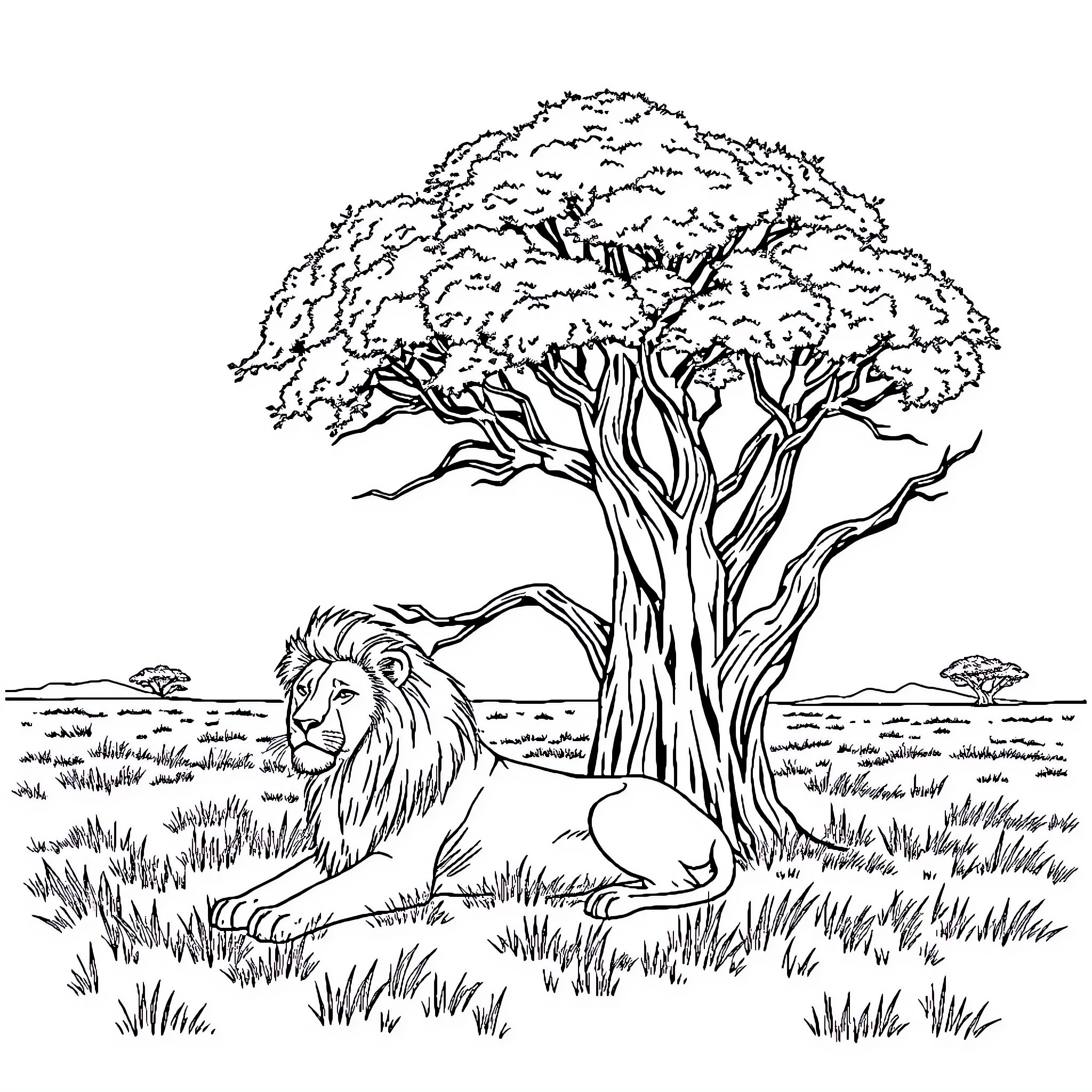 Lion resting beneath a sprawling tree Coloring Page (free black-and-white line drawing printable PDF for all, from beginners to advanced learners, including children, teens, adults, and seniors)