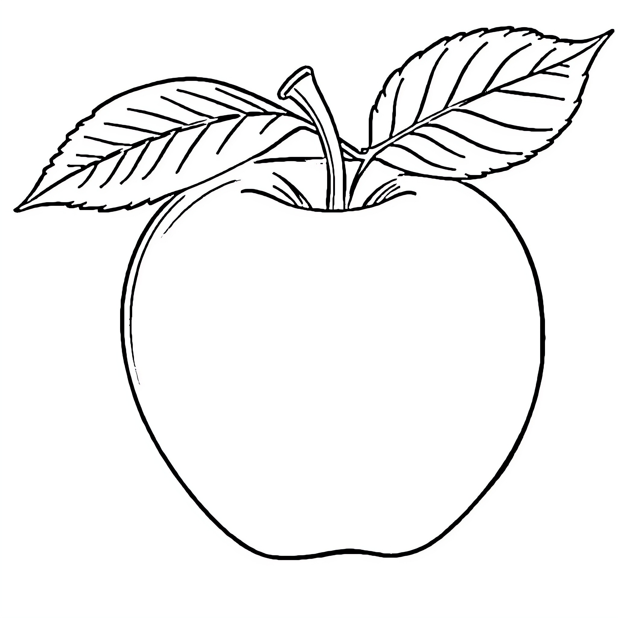 Apple with Detailed Leaves Coloring Page (free black-and-white line drawing printable PDF for all, from beginners to advanced learners, including children, teens, adults, and seniors)