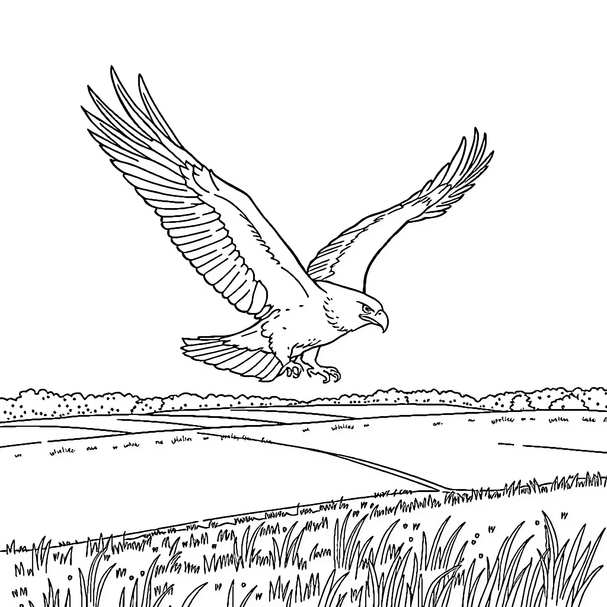 Eagle soaring majestically over a grassy landscape Coloring Page (free black-and-white line drawing printable PDF for all, from beginners to advanced learners, including children, teens, adults, and seniors)