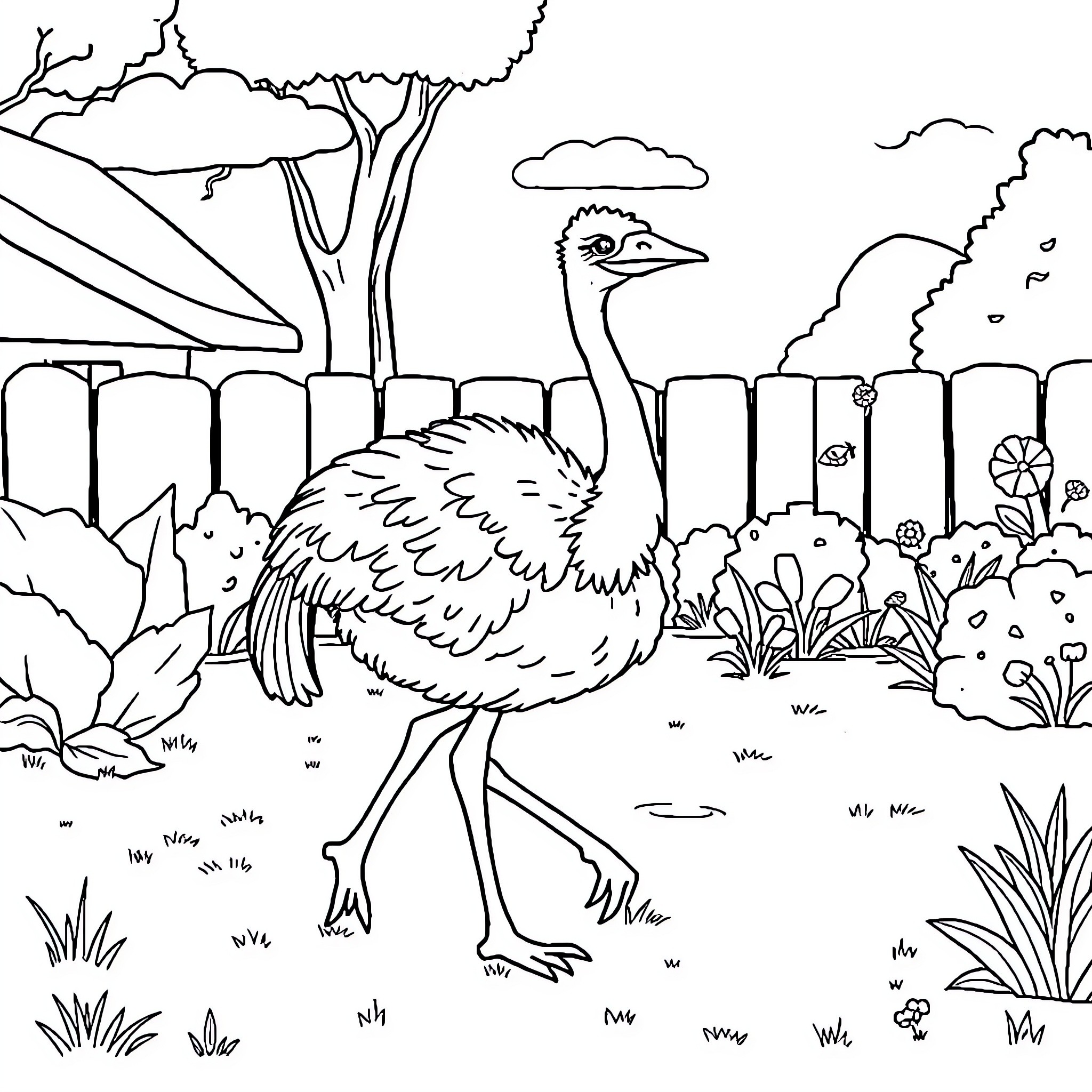 Ostrich strolling through a fenced countryside landscape Coloring Page (free black-and-white line drawing printable PDF for all, from beginners to advanced learners, including children, teens, adults, and seniors)