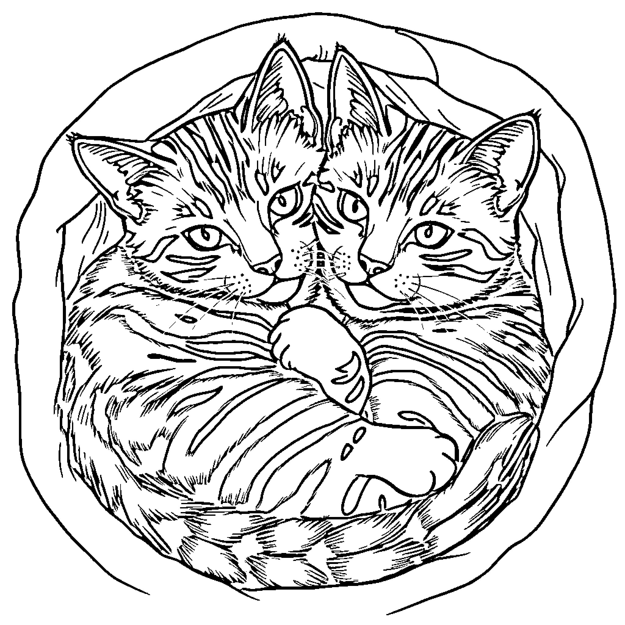 Cat Cats Cuddled Together in Cozy Circle Coloring Page (free black-and-white line drawing printable PDF for all, from beginners to advanced learners, including children, teens, adults, and seniors)