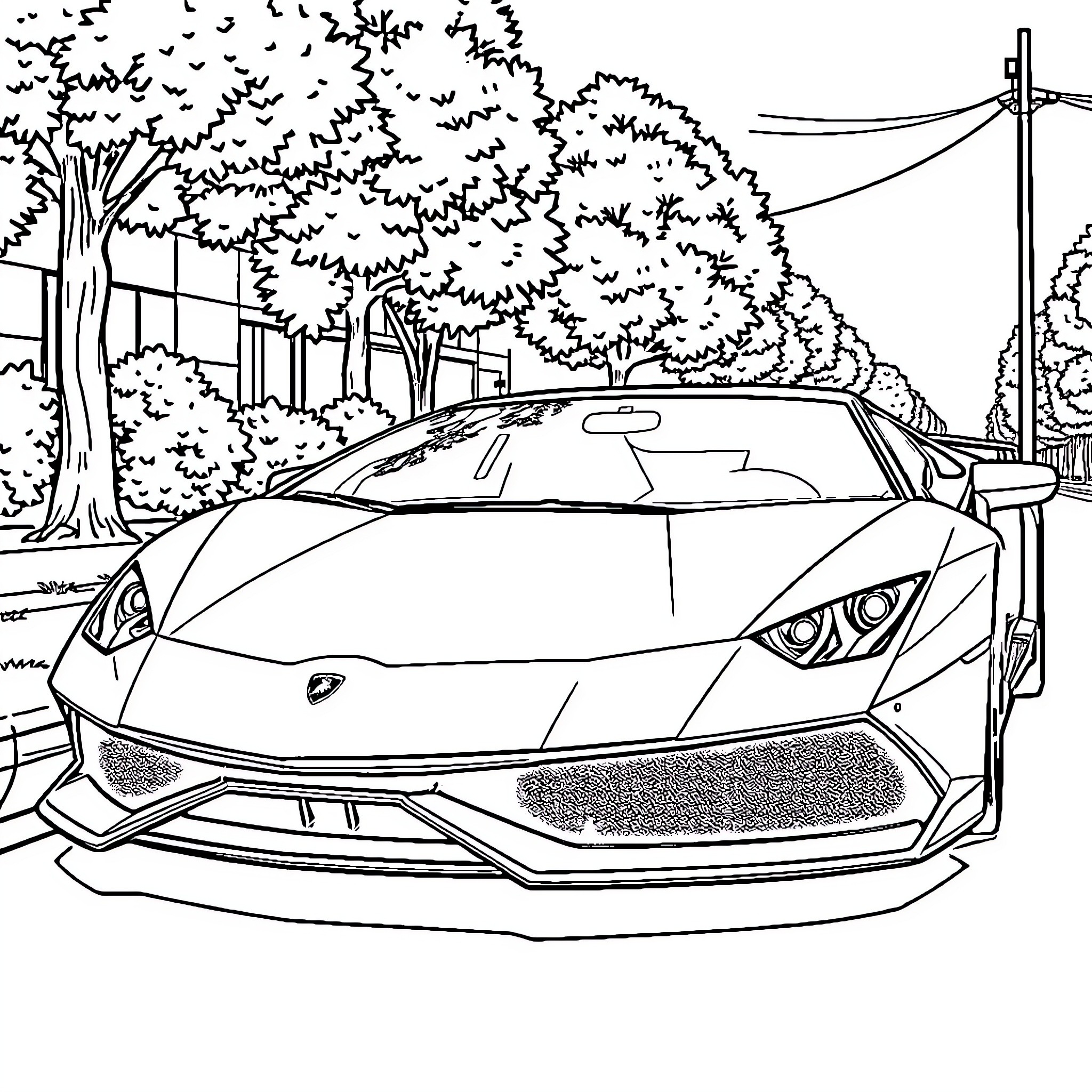 Lamborghini sports car on the road Coloring Page (free black-and-white line drawing printable PDF for all, from beginners to advanced learners, including children, teens, adults, and seniors)