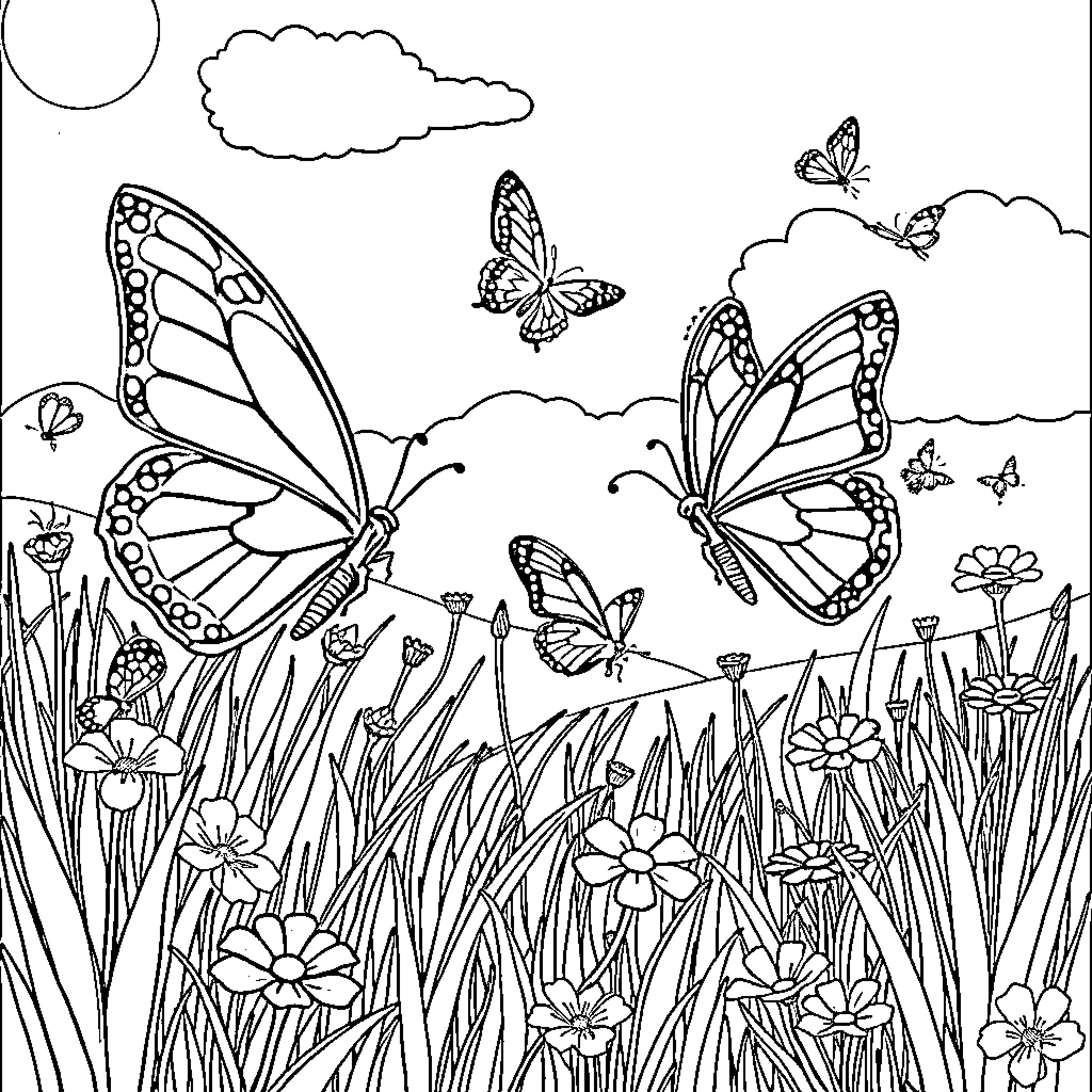 Butterfly Meadow: A Peaceful Floral Sanctuary Coloring Page (free black-and-white line drawing printable PDF for all, from beginners to advanced learners, including children, teens, adults, and seniors)