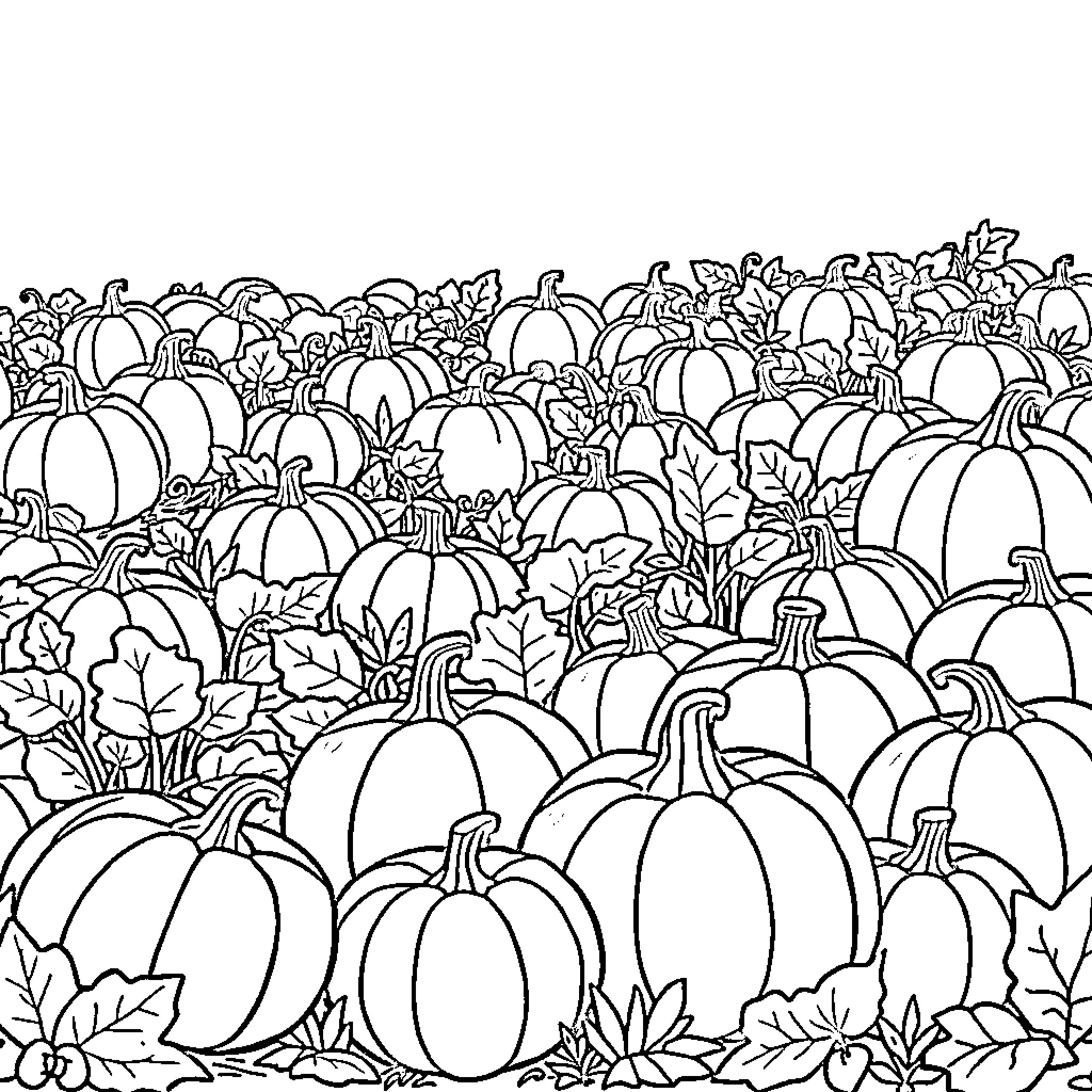 Pumpkin patch filled with diverse shapes and sizes Coloring Page (free black-and-white line drawing printable PDF for all, from beginners to advanced learners, including children, teens, adults, and seniors)