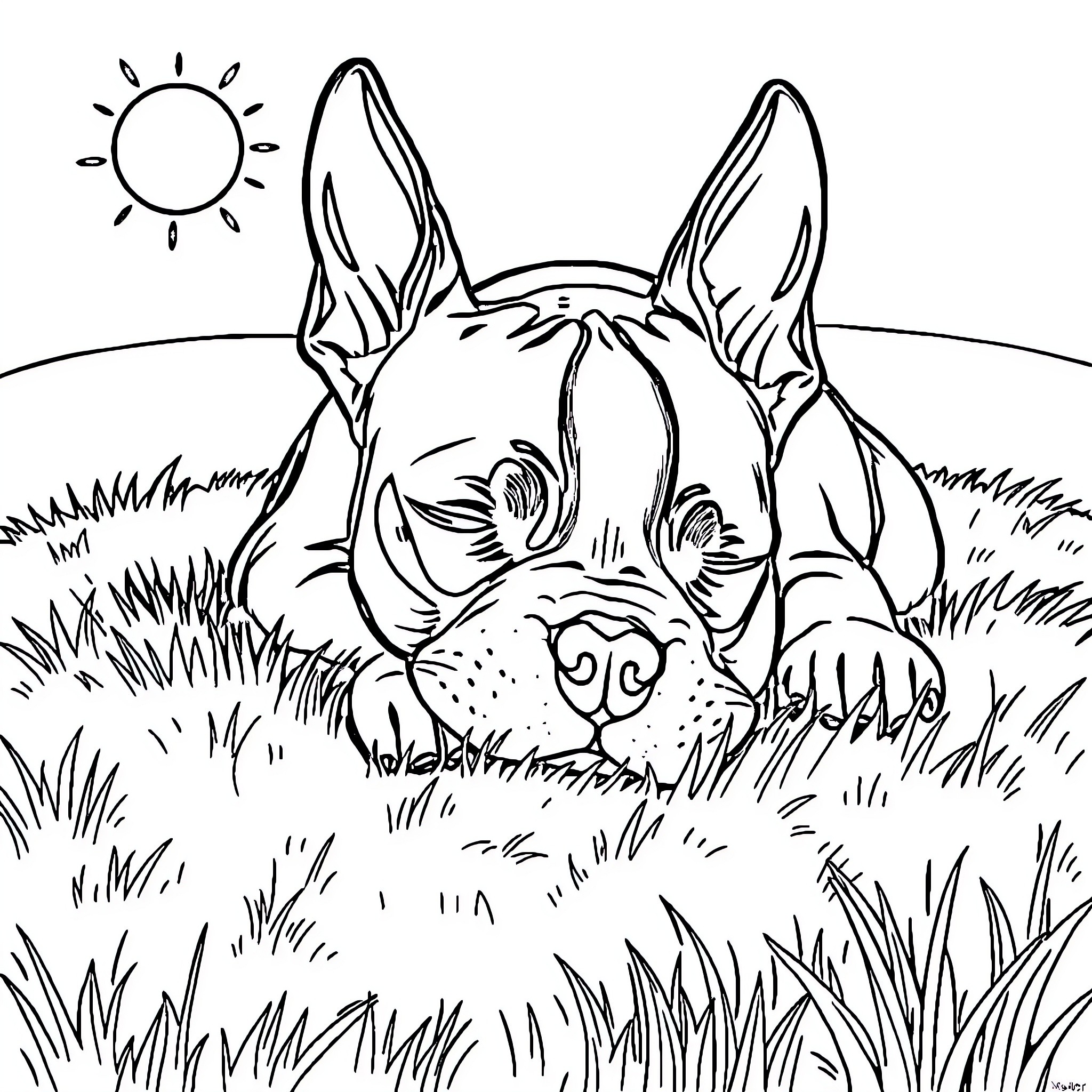 Boston Terrier resting in the grassy field Coloring Page (free black-and-white line drawing printable PDF for all, from beginners to advanced learners, including children, teens, adults, and seniors)