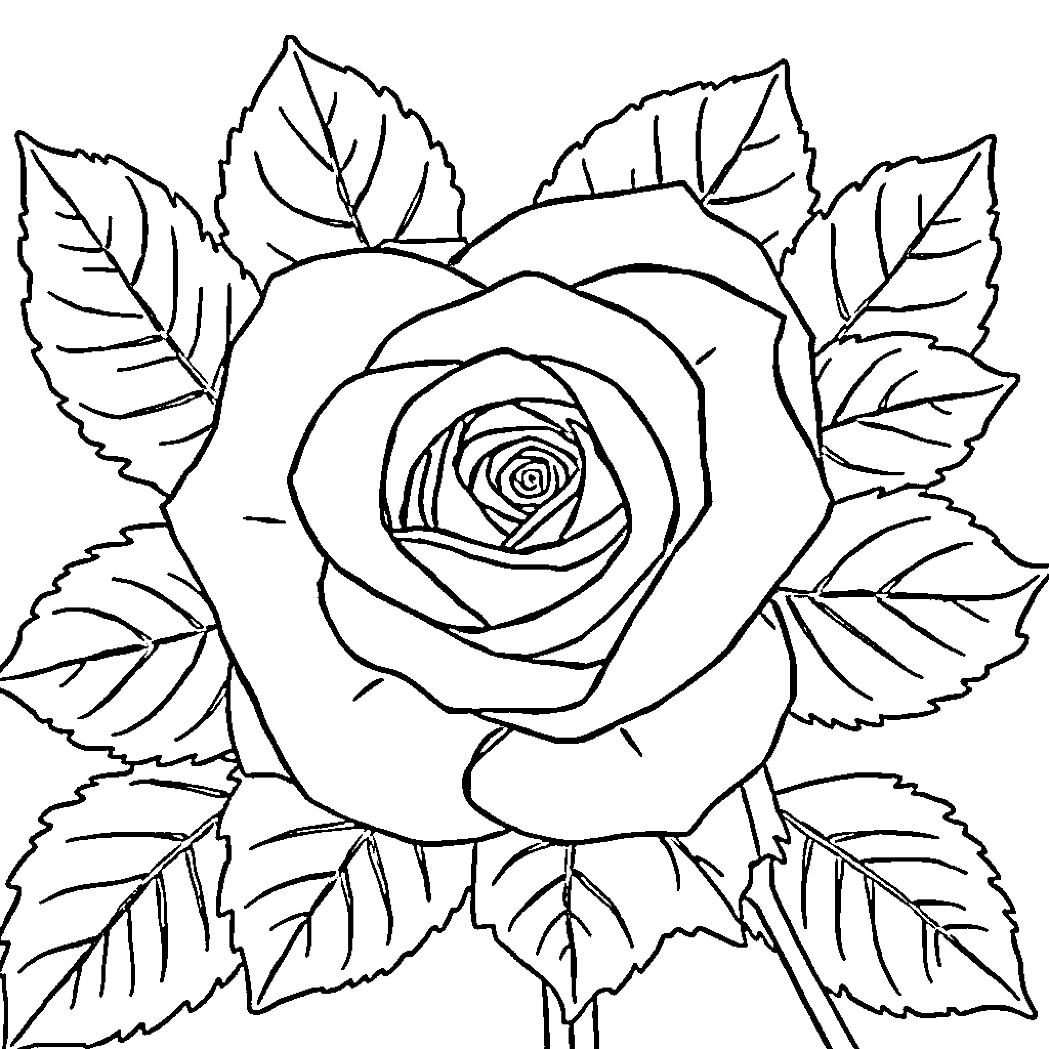 Rose blooming with lush leaves Coloring Page (free black-and-white line drawing printable PDF for all, from beginners to advanced learners, including children, teens, adults, and seniors)