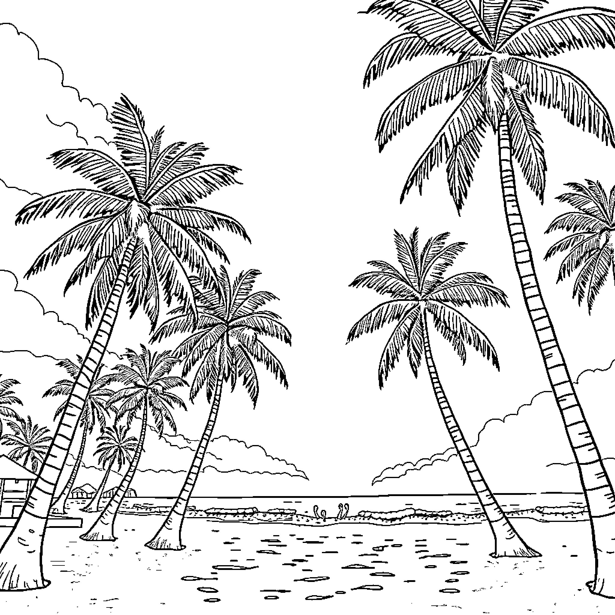 Palm Tree Tropical Beach Landscape Coloring Page (free black-and-white line drawing printable PDF for all, from beginners to advanced learners, including children, teens, adults, and seniors)