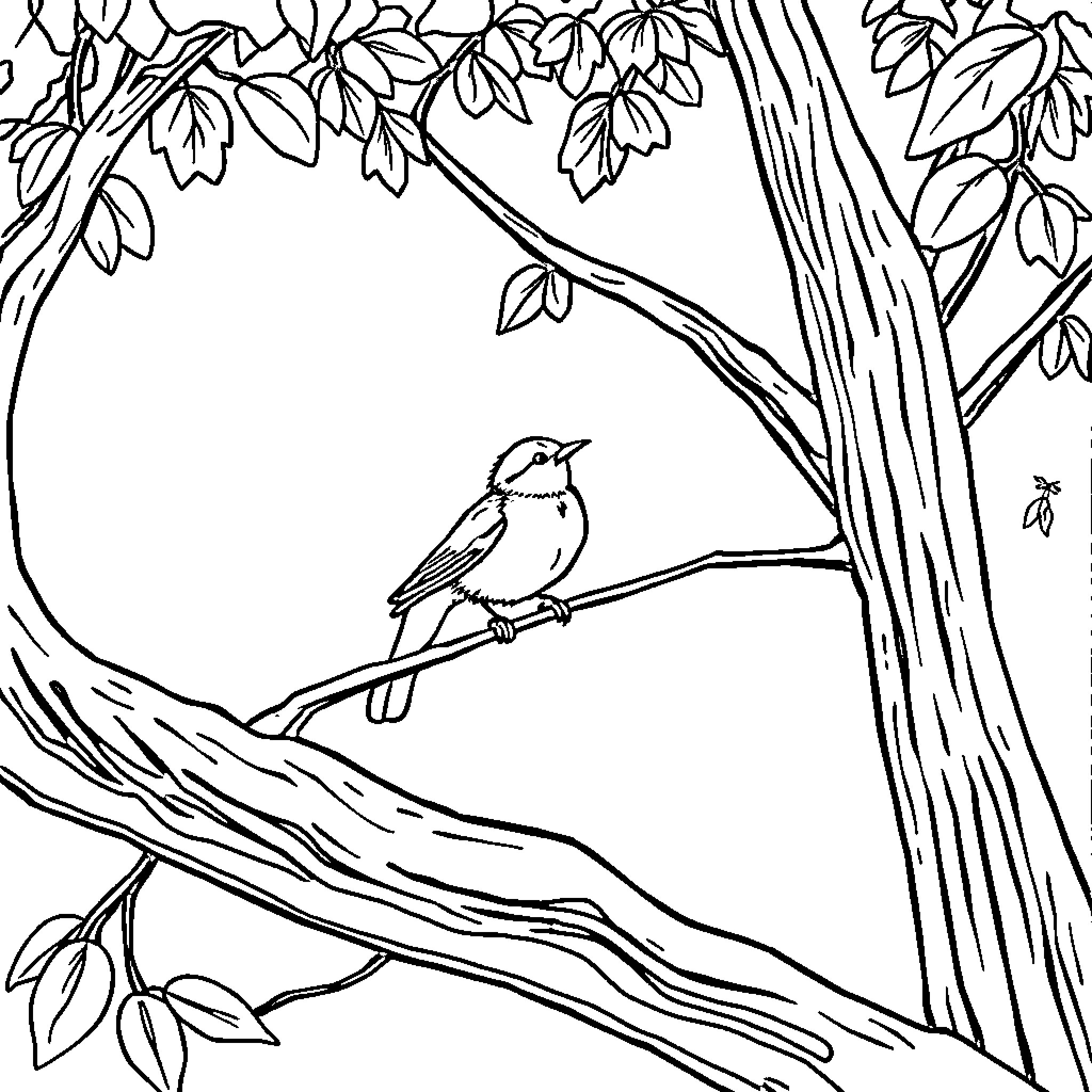 Bird perched on tree branch in forest Coloring Page (free black-and-white line drawing printable PDF for all, from beginners to advanced learners, including children, teens, adults, and seniors)