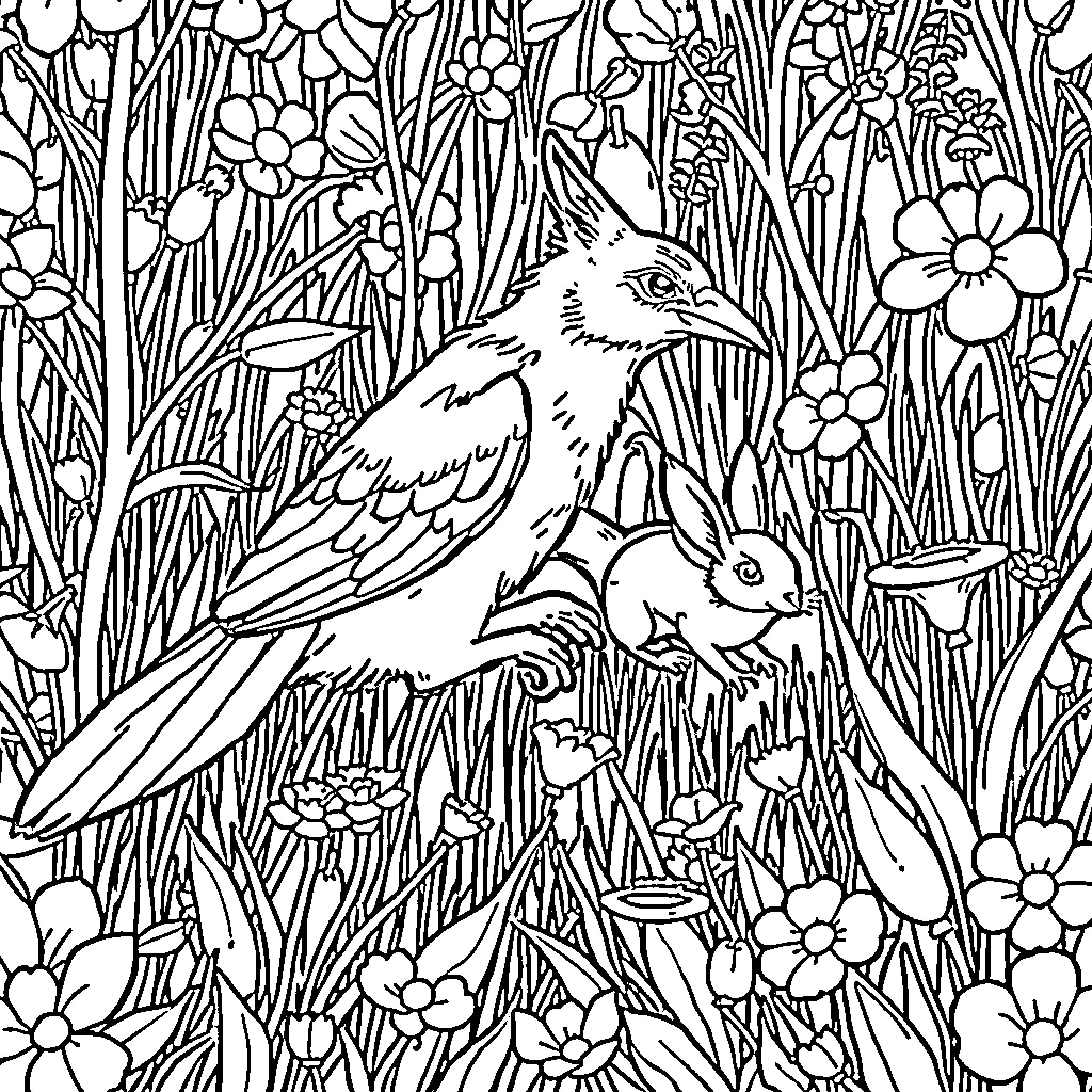 Perro and rabbit in a flowery meadow Coloring Page (free black-and-white line drawing printable PDF for all, from beginners to advanced learners, including children, teens, adults, and seniors)