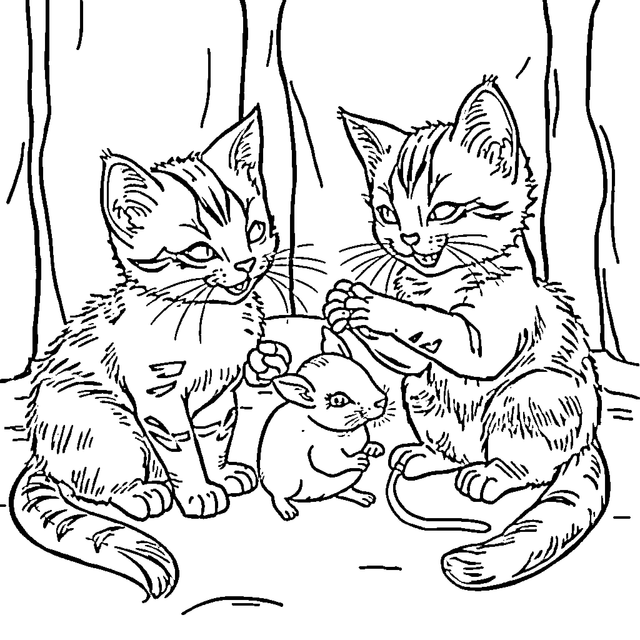Kittens playing together in the forest Coloring Page (free black-and-white line drawing printable PDF for all, from beginners to advanced learners, including children, teens, adults, and seniors)