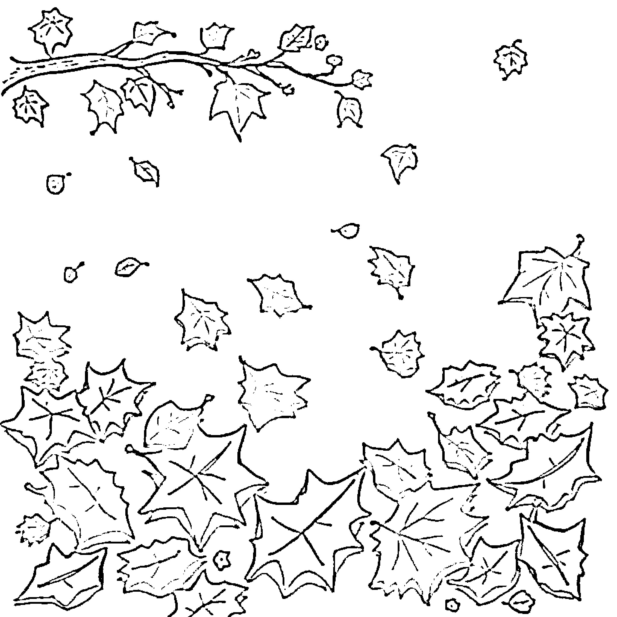 Leaf shapes scattered across the page Coloring Page (free black-and-white line drawing printable PDF for all, from beginners to advanced learners, including children, teens, adults, and seniors)