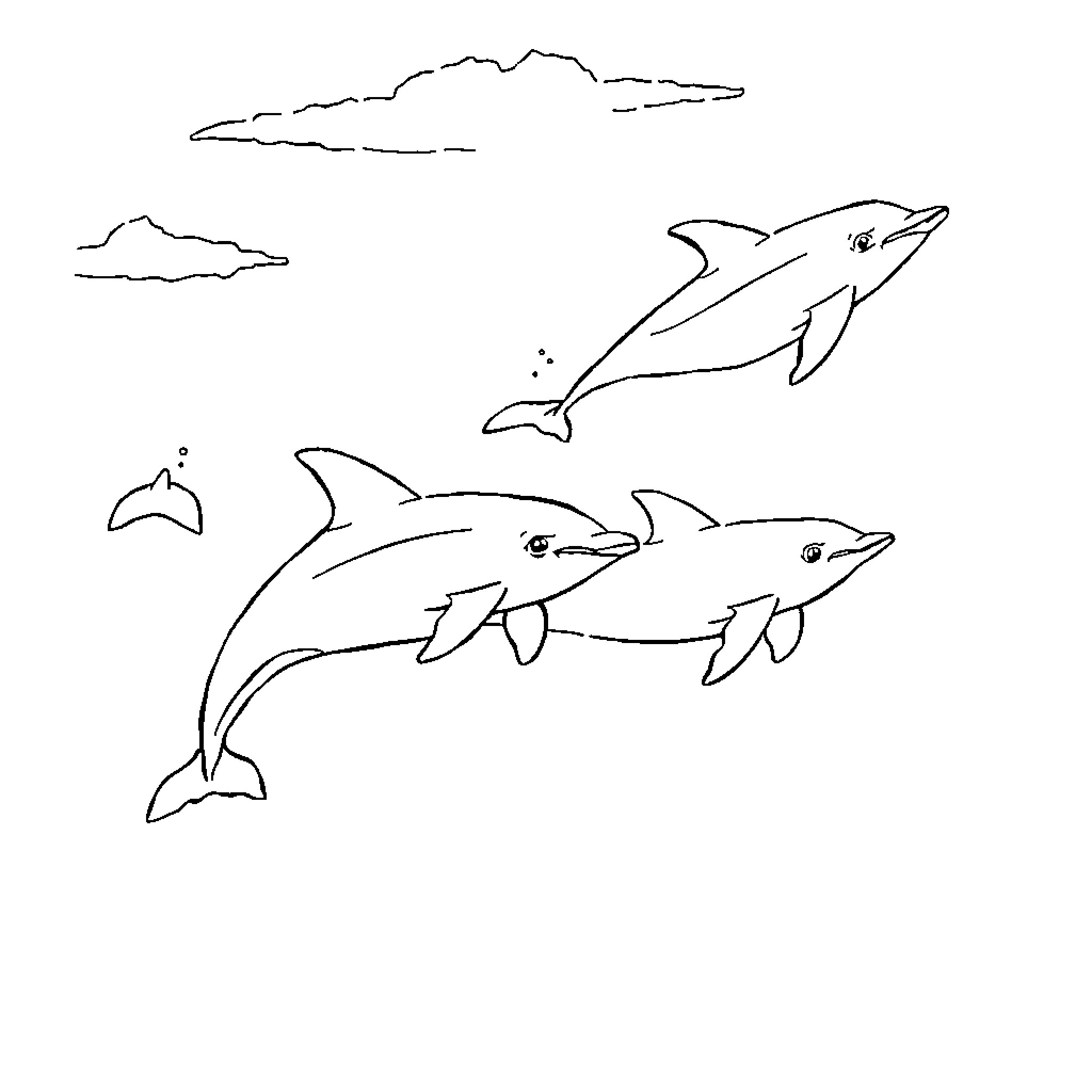 Dolphins swimming playfully in the ocean Coloring Page (free black-and-white line drawing printable PDF for all, from beginners to advanced learners, including children, teens, adults, and seniors)