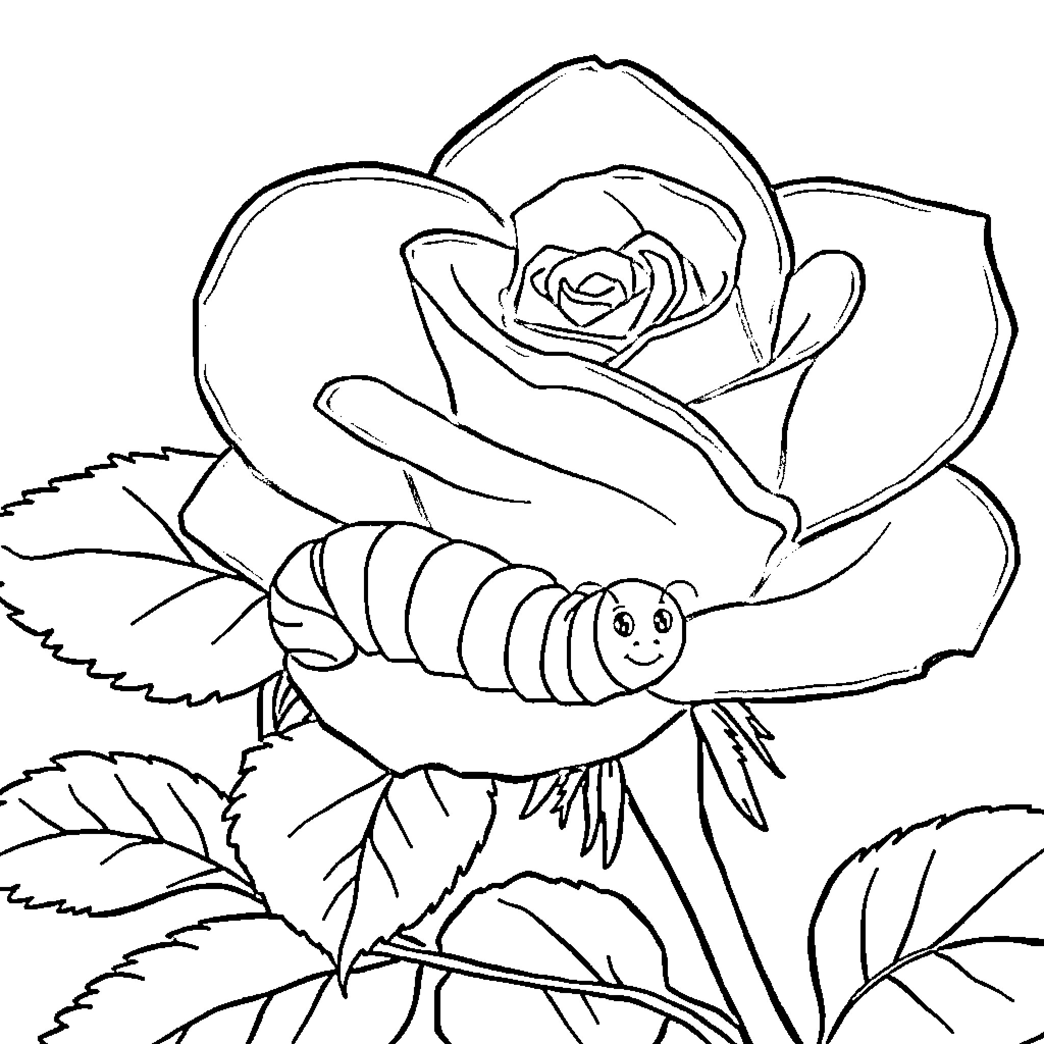Caterpillar exploring a blooming rose Coloring Page (free black-and-white line drawing printable PDF for all, from beginners to advanced learners, including children, teens, adults, and seniors)