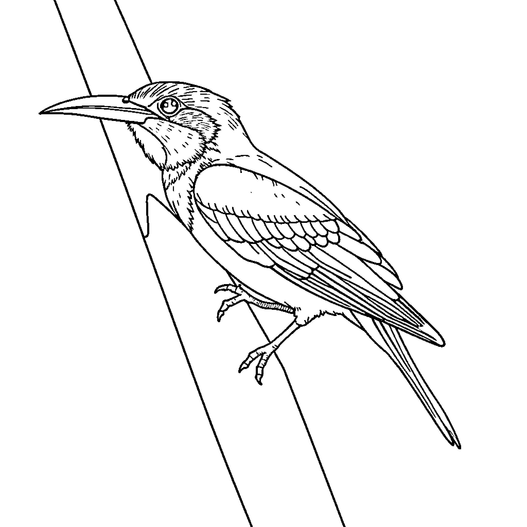 Titipo the Perched Woodpecker Coloring Page (free black-and-white line drawing printable PDF for all, from beginners to advanced learners, including children, teens, adults, and seniors)