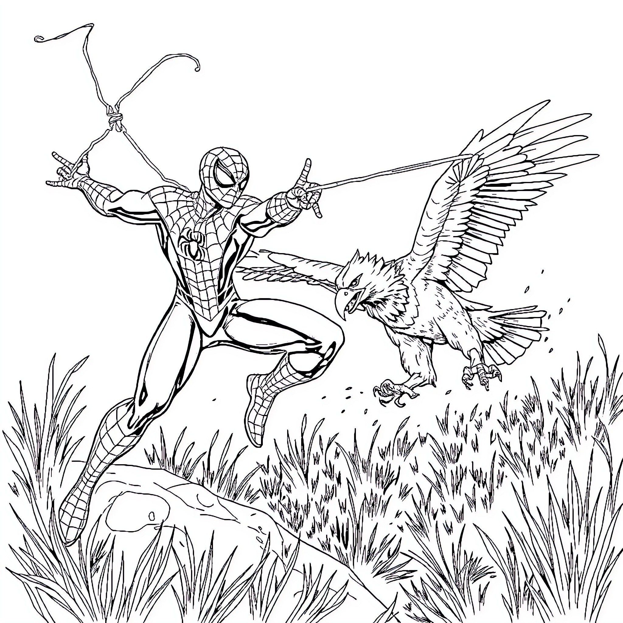 Spiderman battling fierce eagle in wilderness Coloring Page (free black-and-white line drawing printable PDF for all, from beginners to advanced learners, including children, teens, adults, and seniors)