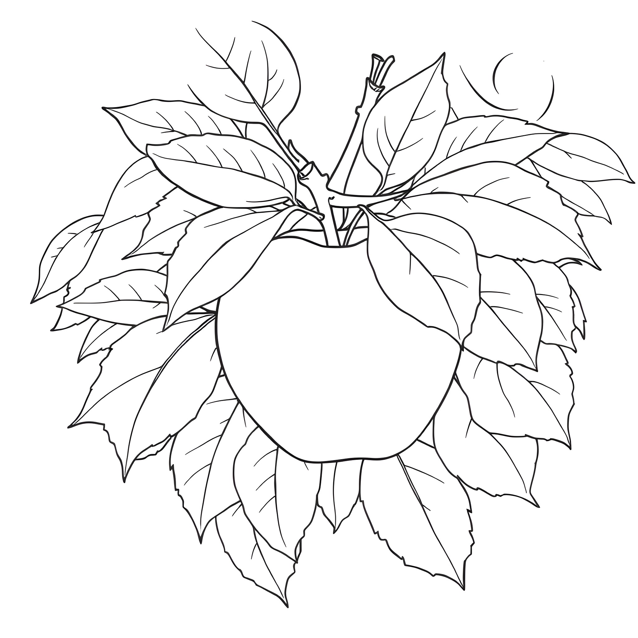 Apple with detailed leaf design Coloring Page (free black-and-white line drawing printable PDF for all, from beginners to advanced learners, including children, teens, adults, and seniors)