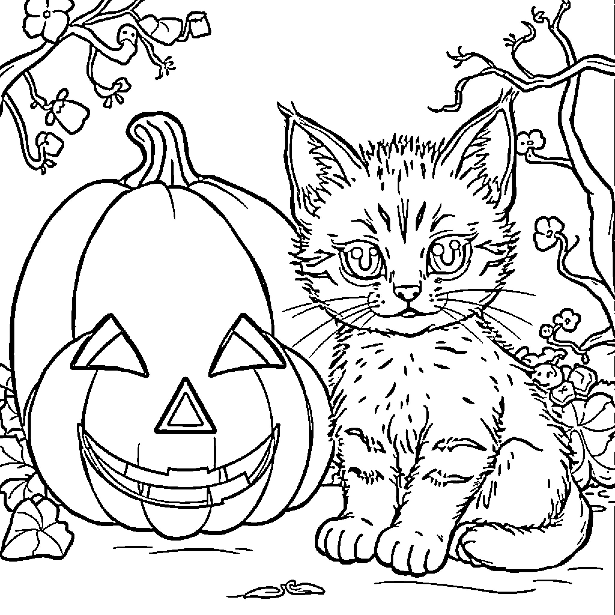 Kitten exploring a Halloween pumpkin Coloring Page (free black-and-white line drawing printable PDF for all, from beginners to advanced learners, including children, teens, adults, and seniors)