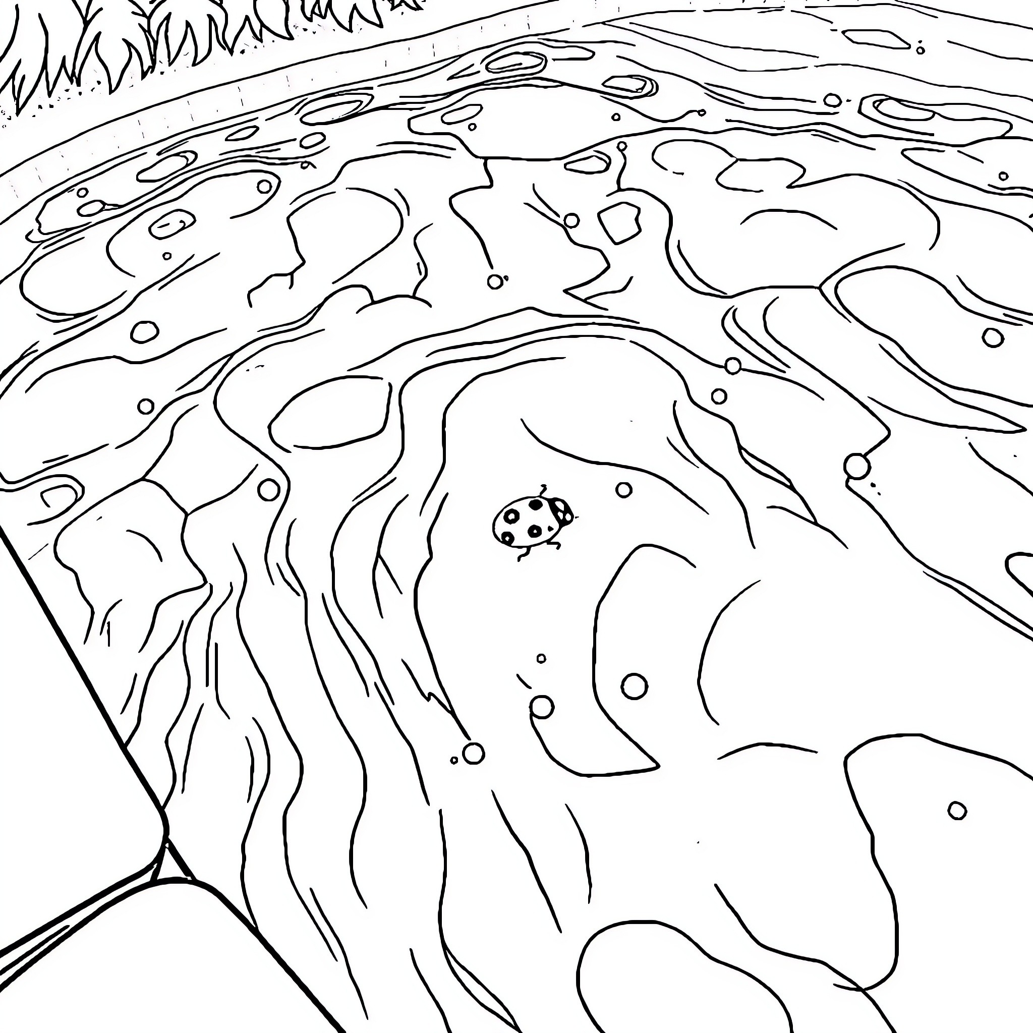 Ladybug exploring a magical pond Coloring Page (free black-and-white line drawing printable PDF for all, from beginners to advanced learners, including children, teens, adults, and seniors)