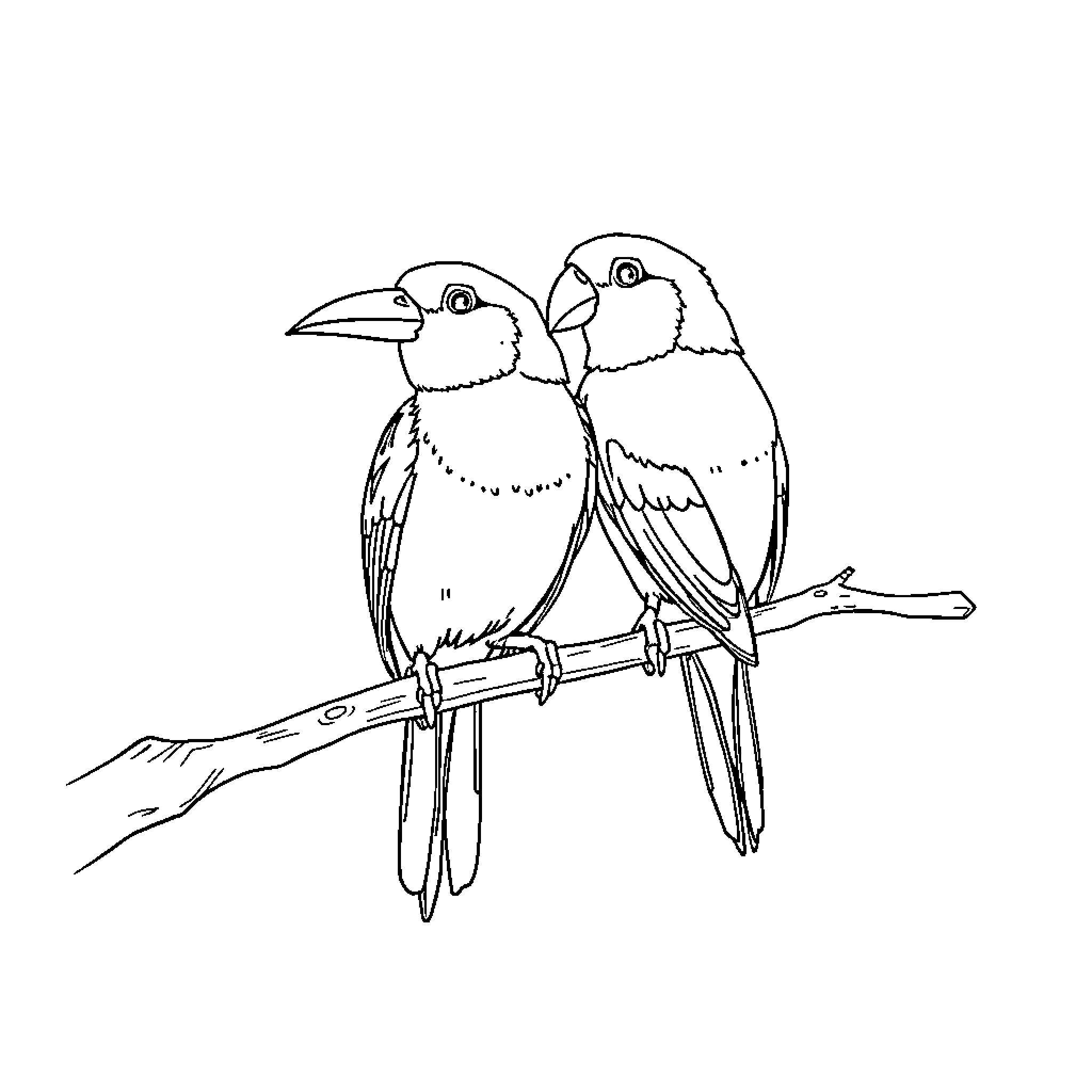 Titmice perched together on a branch Coloring Page (free black-and-white line drawing printable PDF for all, from beginners to advanced learners, including children, teens, adults, and seniors)
