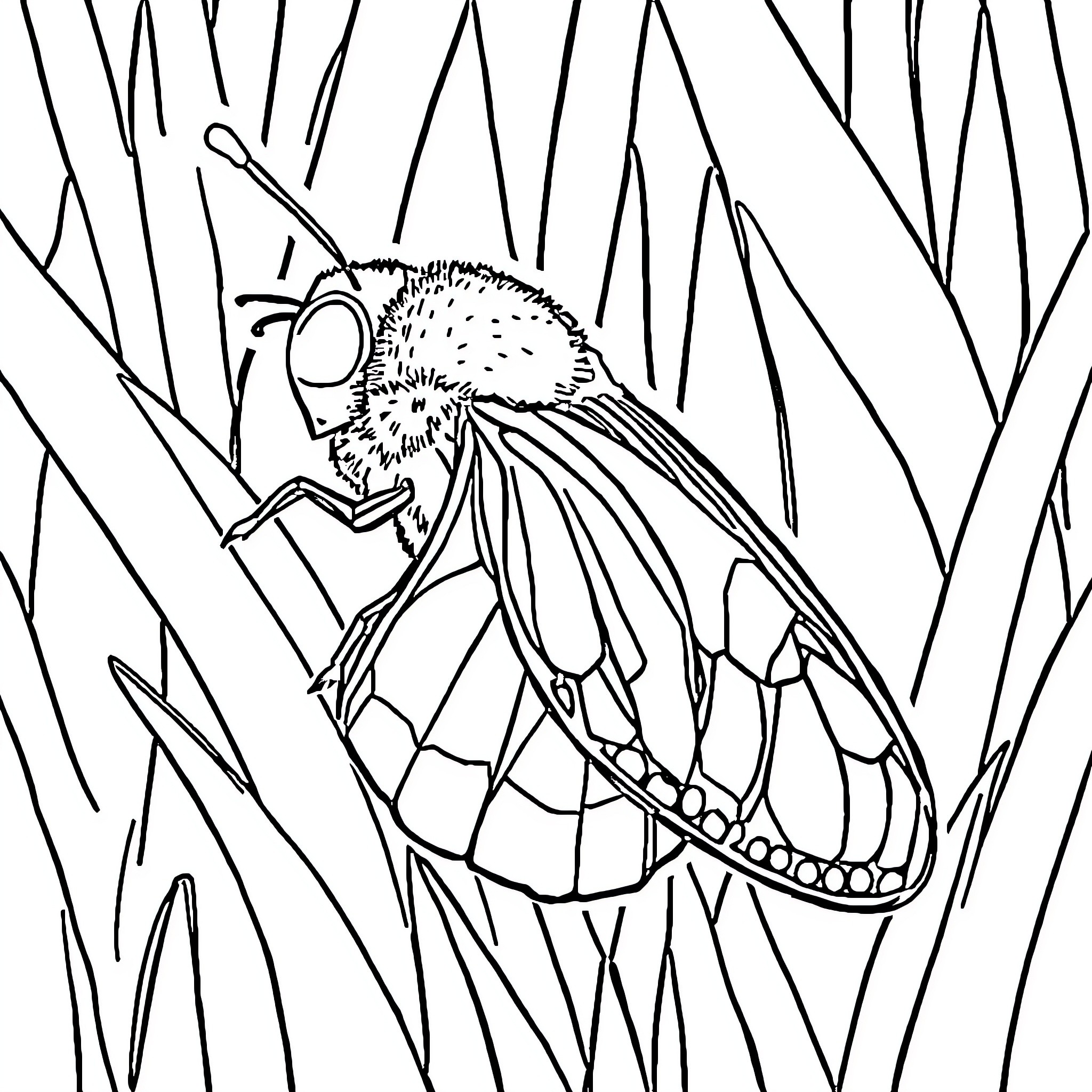 Snake-like creature camouflaged in tall grasses Coloring Page (free black-and-white line drawing printable PDF for all, from beginners to advanced learners, including children, teens, adults, and seniors)