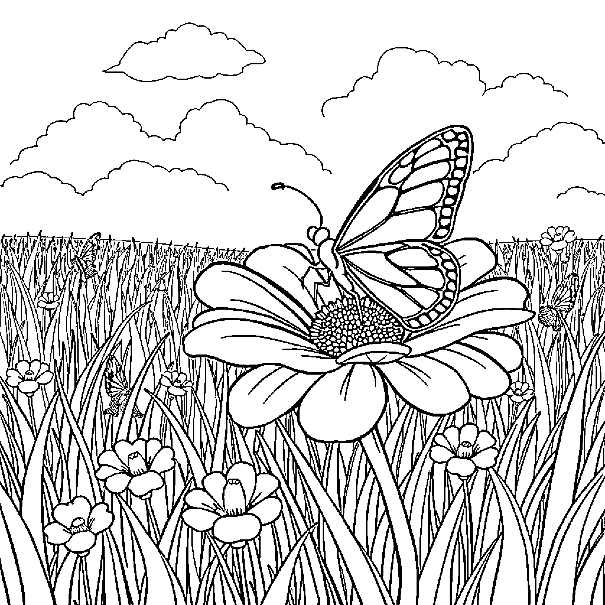 Butterfly resting on a flower in the meadow Coloring Page (free black-and-white line drawing printable PDF for all, from beginners to advanced learners, including children, teens, adults, and seniors)