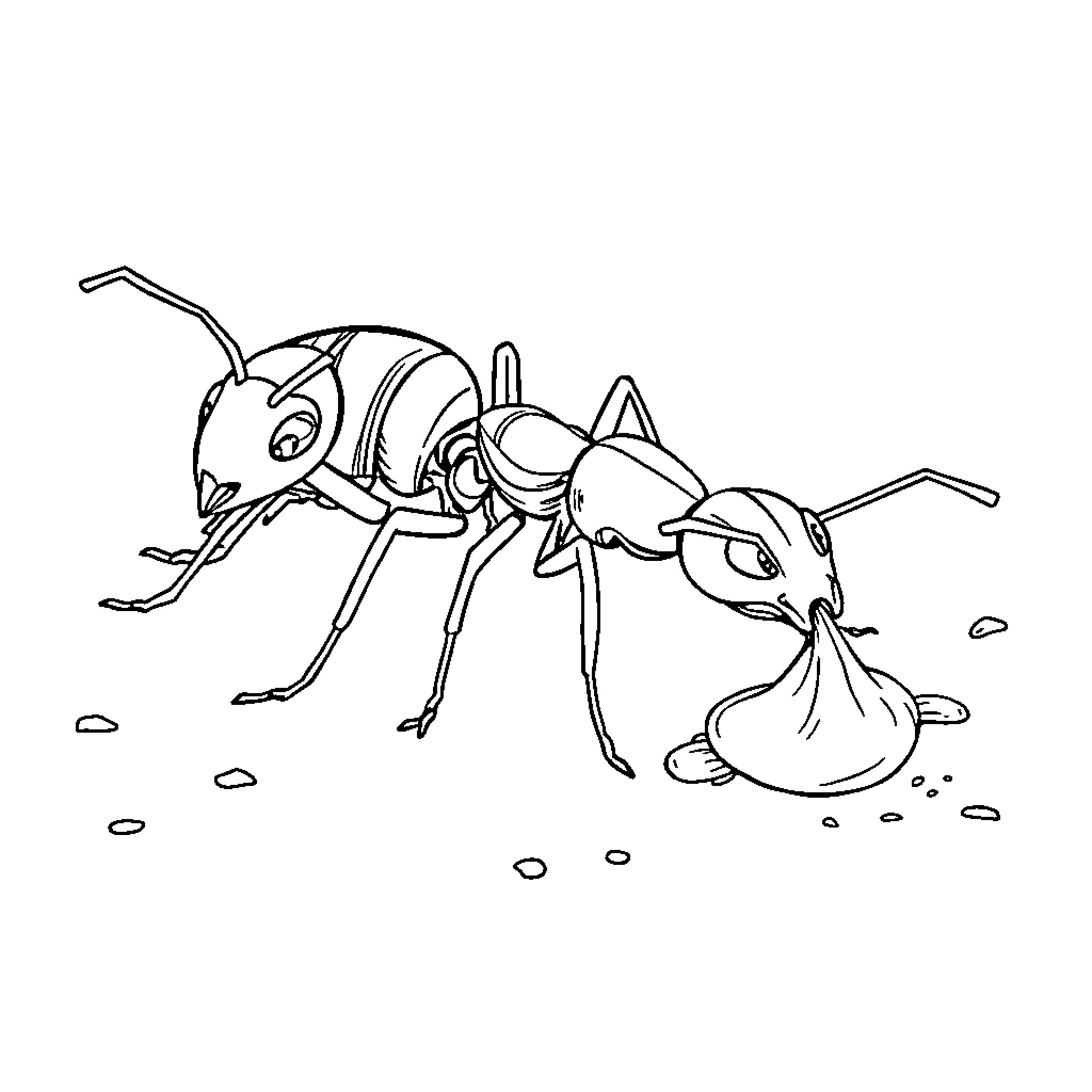 Ant exploring the outdoors near tiny pebbles Coloring Page (free black-and-white line drawing printable PDF for all, from beginners to advanced learners, including children, teens, adults, and seniors)