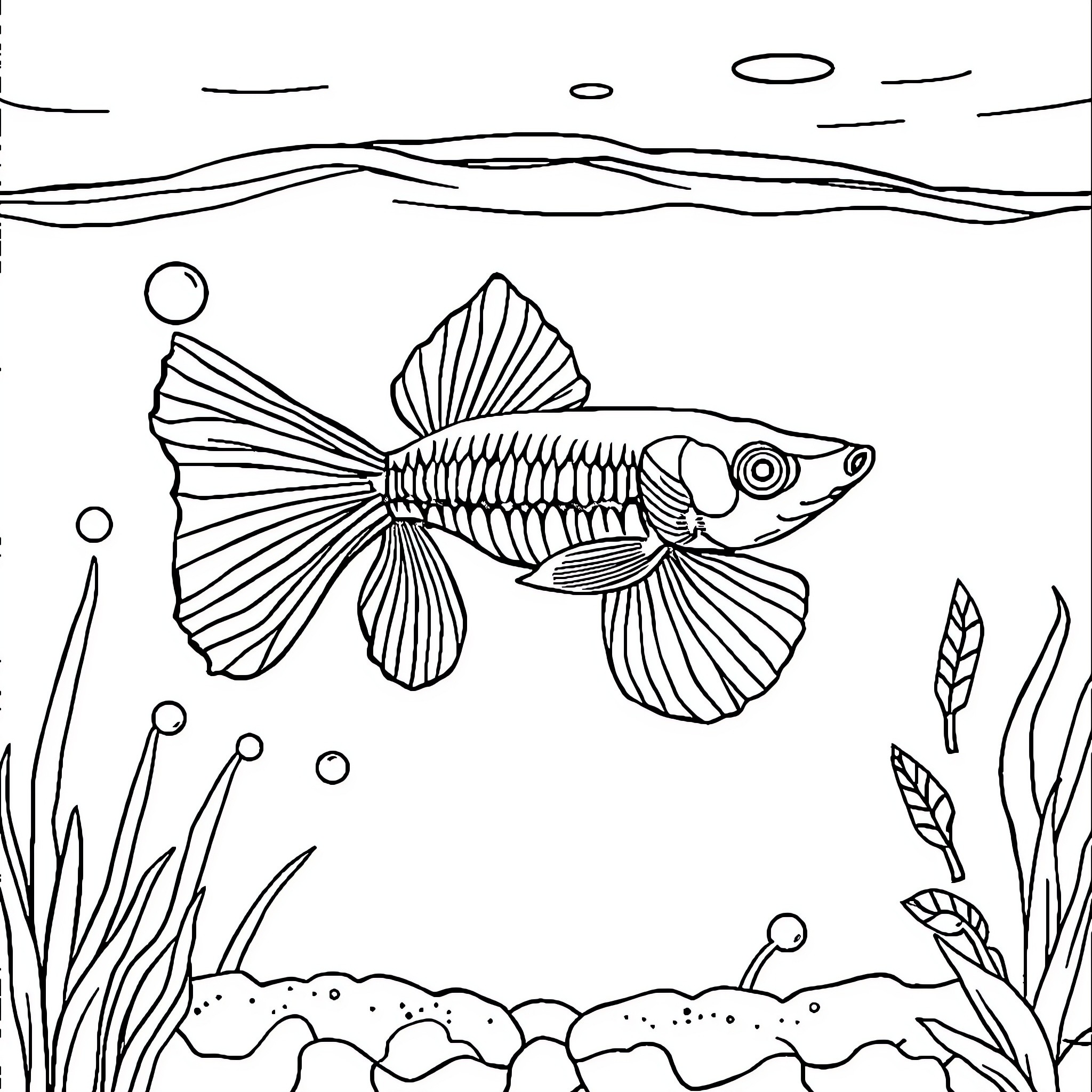 Guppy fish swimming in underwater scene Coloring Page (free black-and-white line drawing printable PDF for all, from beginners to advanced learners, including children, teens, adults, and seniors)