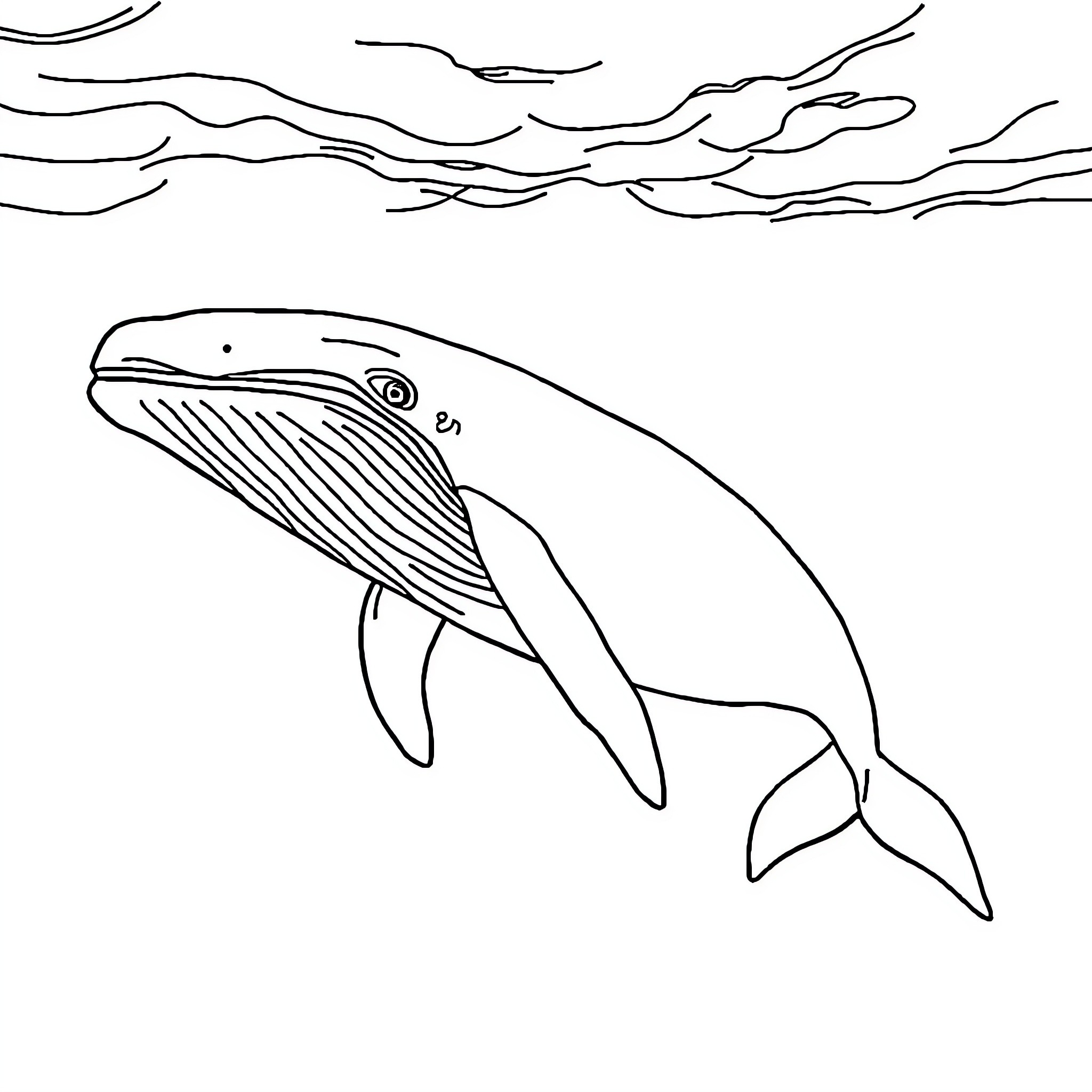 Whale swimming in the ocean waves Coloring Page (free black-and-white line drawing printable PDF for all, from beginners to advanced learners, including children, teens, adults, and seniors)