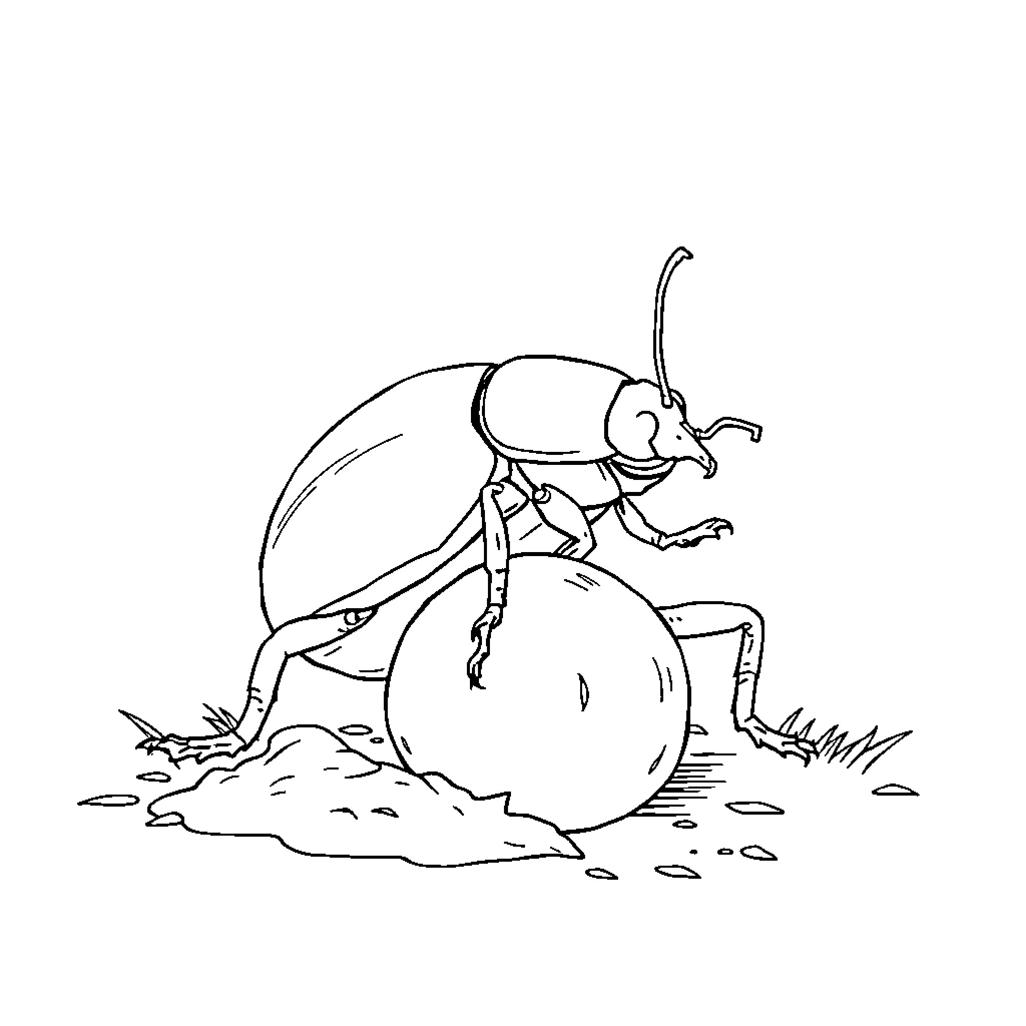 Dung Beetle Pushing Large Ball Through Grass Coloring Page (free black-and-white line drawing printable PDF for all, from beginners to advanced learners, including children, teens, adults, and seniors)
