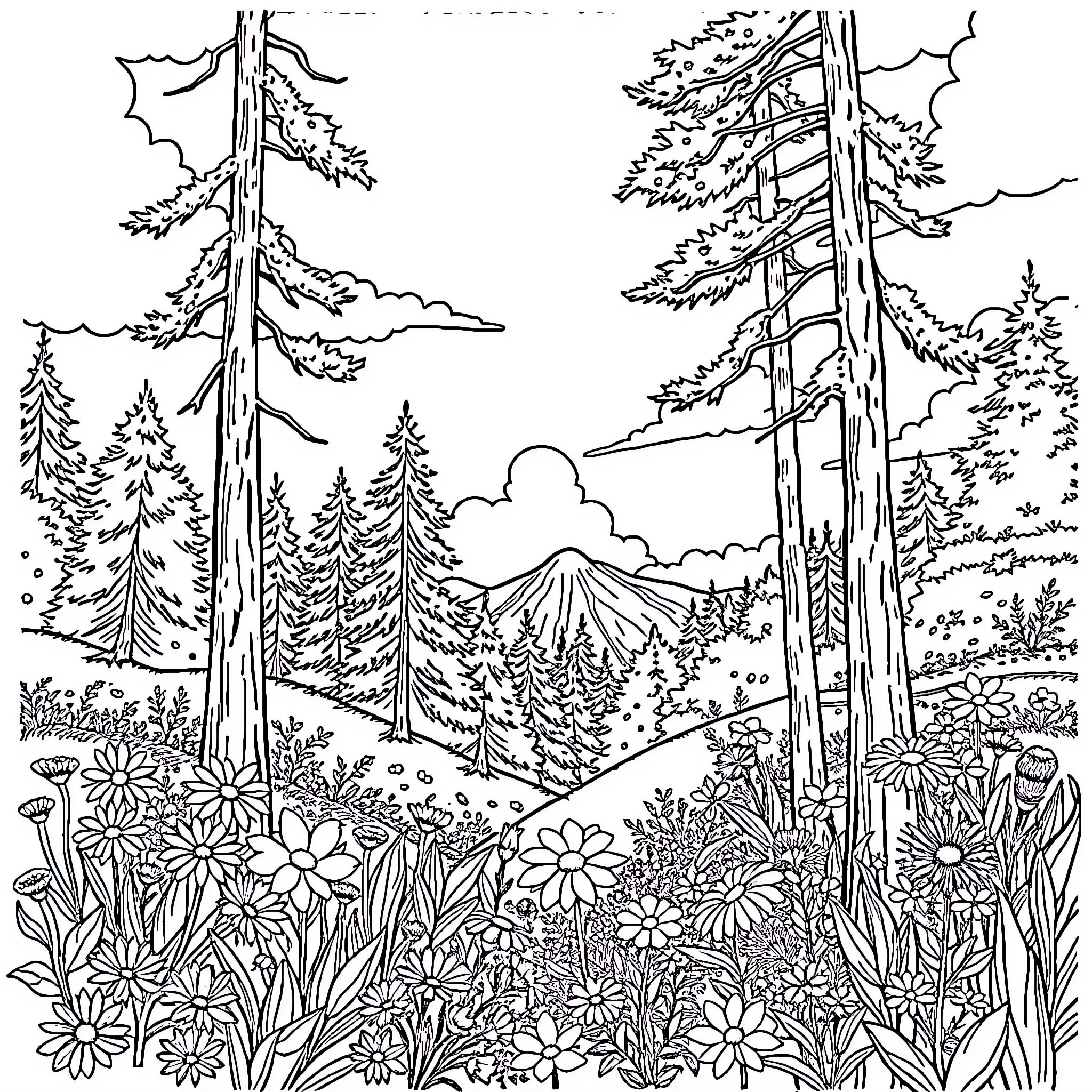 Nature landscape with forest and mountains Coloring Page (free black-and-white line drawing printable PDF for all, from beginners to advanced learners, including children, teens, adults, and seniors)