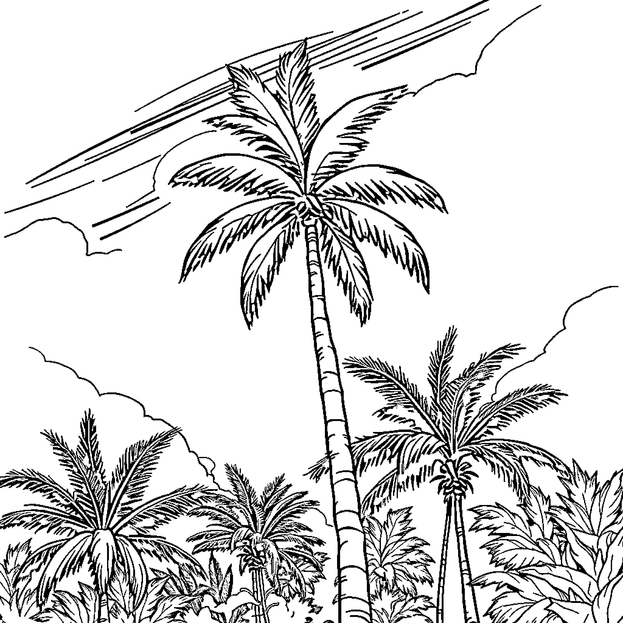 Palm Tree Silhouettes Against the Sky Coloring Page (free black-and-white line drawing printable PDF for all, from beginners to advanced learners, including children, teens, adults, and seniors)