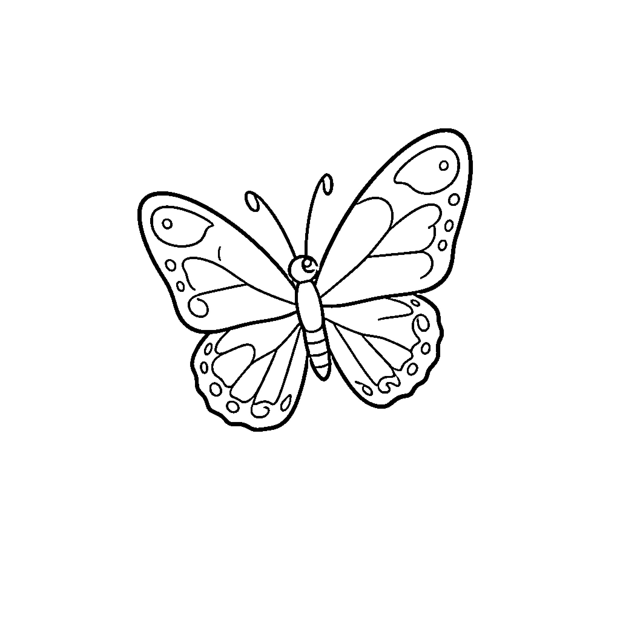 Butterfly with spread wings resting on a white background Coloring Page (free black-and-white line drawing printable PDF for all, from beginners to advanced learners, including children, teens, adults, and seniors)
