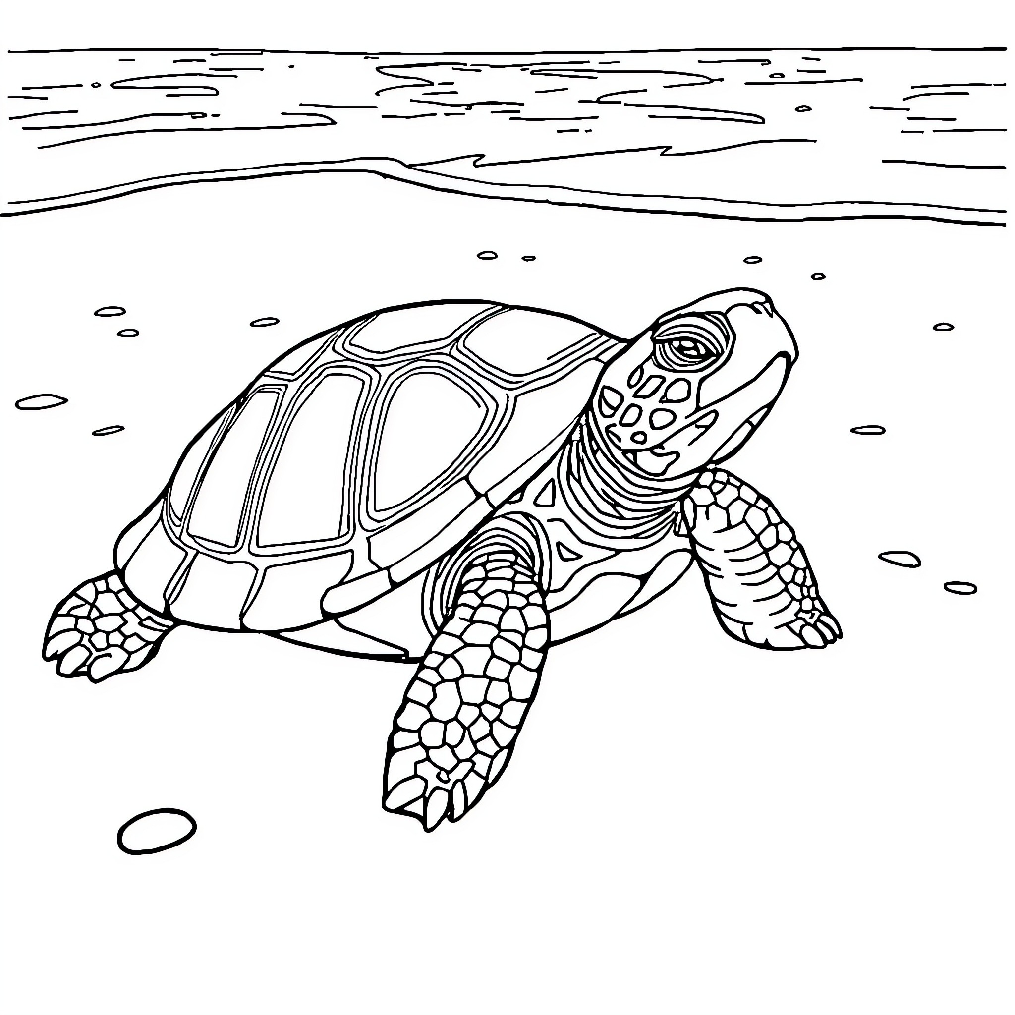 Turtle swimming through ocean waters Coloring Page (free black-and-white line drawing printable PDF for all, from beginners to advanced learners, including children, teens, adults, and seniors)
