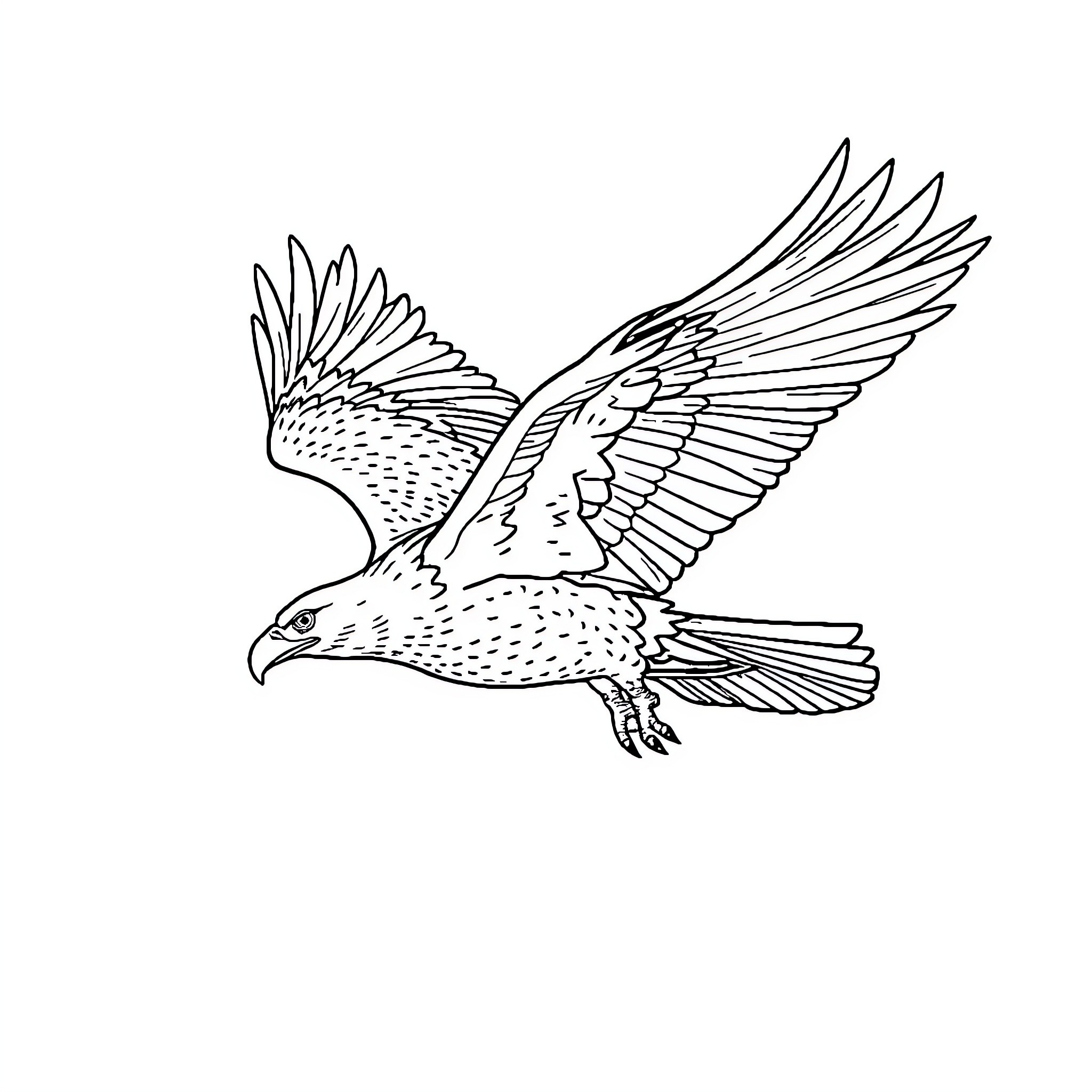 Eagle in mid-flight with spread wings Coloring Page (free black-and-white line drawing printable PDF for all, from beginners to advanced learners, including children, teens, adults, and seniors)