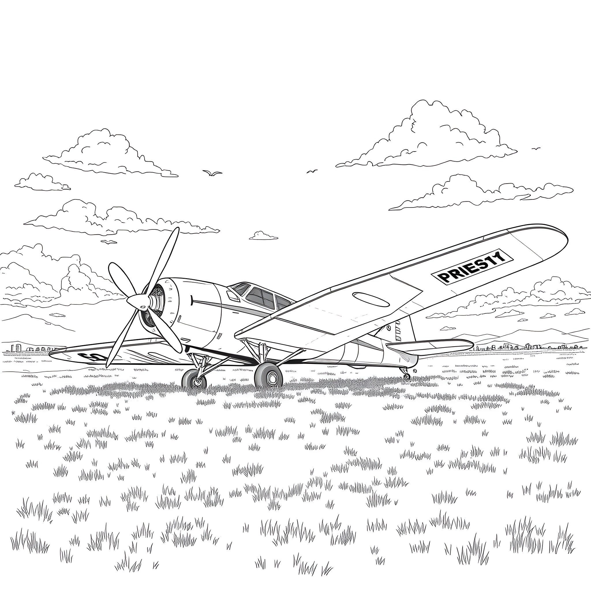 Plane on runway with clouds and grass Coloring Page (free black-and-white line drawing printable PDF for all, from beginners to advanced learners, including children, teens, adults, and seniors)