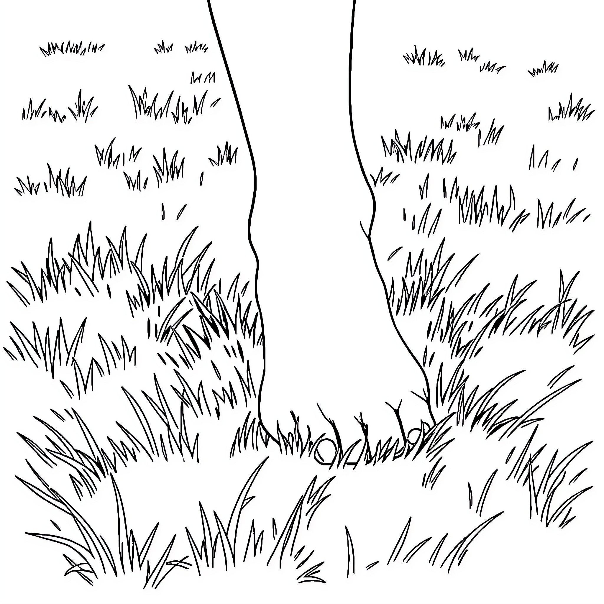Foot tracks through the tall grass Coloring Page (free black-and-white line drawing printable PDF for all, from beginners to advanced learners, including children, teens, adults, and seniors)