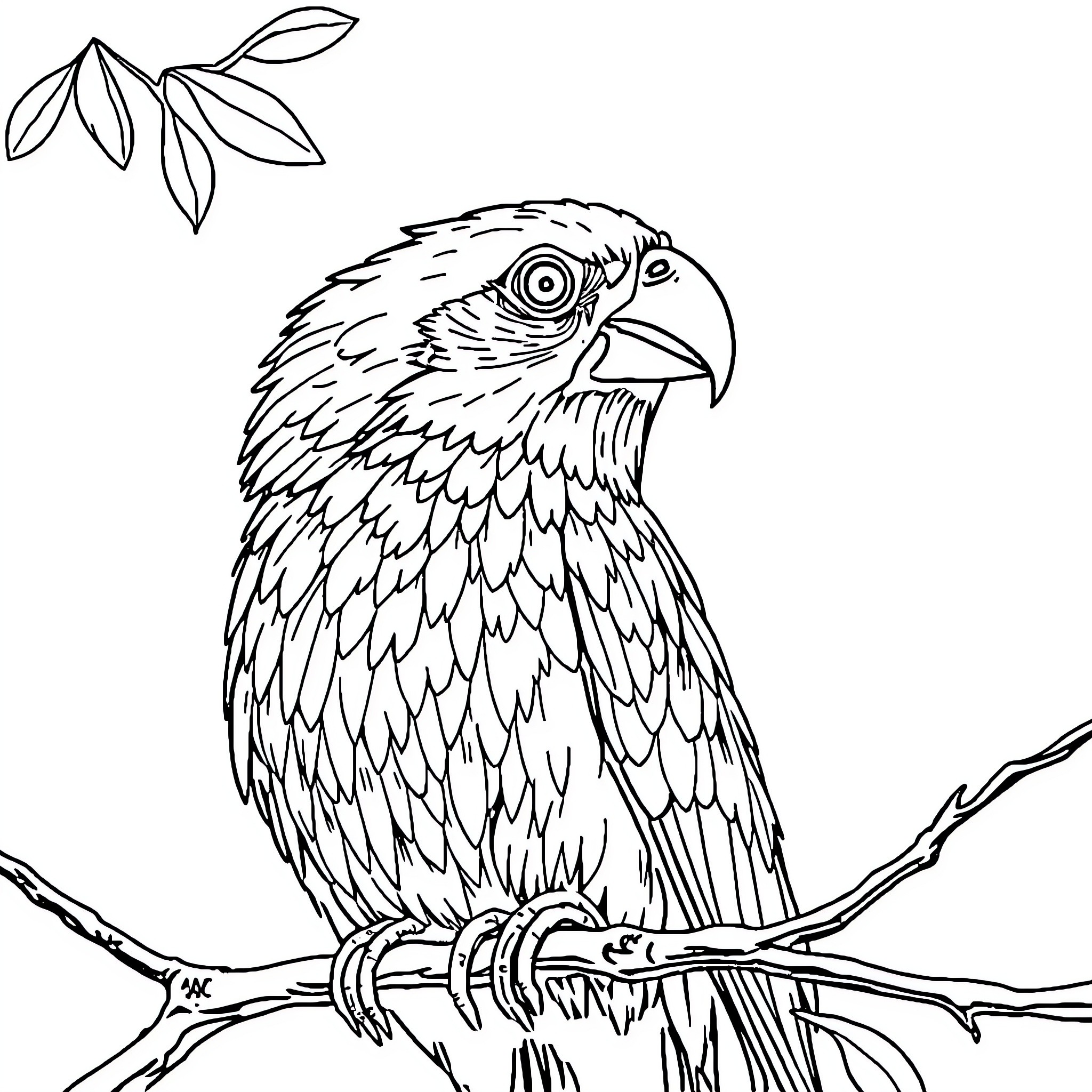Fruit Parrot Perched on Branch Coloring Page (free black-and-white line drawing printable PDF for all, from beginners to advanced learners, including children, teens, adults, and seniors)
