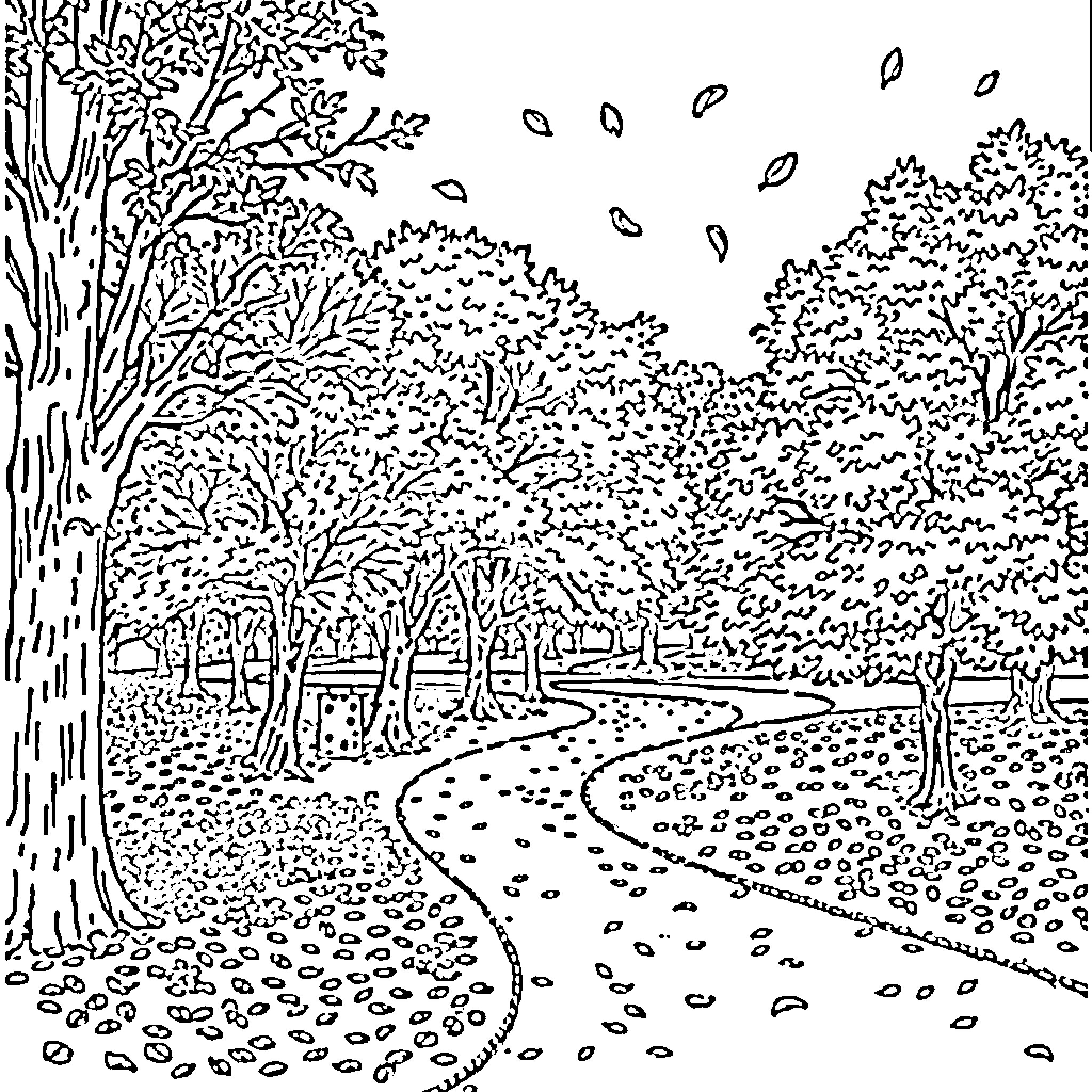 Autumn Stroll Through the Peaceful Park Coloring Page (free black-and-white line drawing printable PDF for all, from beginners to advanced learners, including children, teens, adults, and seniors)