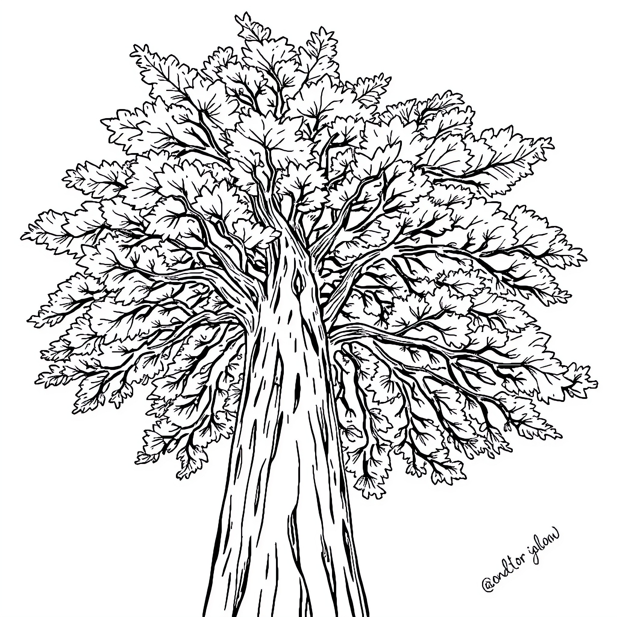Tree with lush foliage in artistic rendering Coloring Page (free black-and-white line drawing printable PDF for all, from beginners to advanced learners, including children, teens, adults, and seniors)