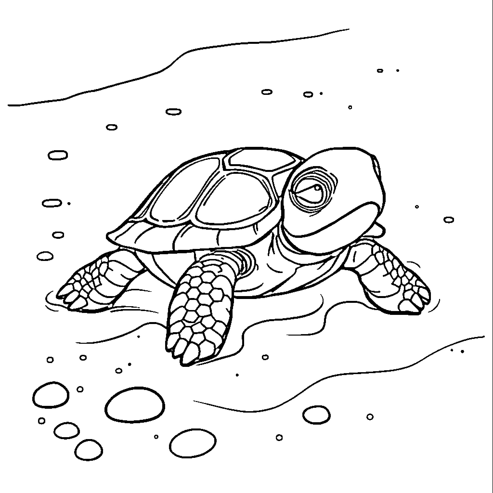 Baby Turtle Swimming Gracefully Underwater Coloring Page (free black-and-white line drawing printable PDF for all, from beginners to advanced learners, including children, teens, adults, and seniors)