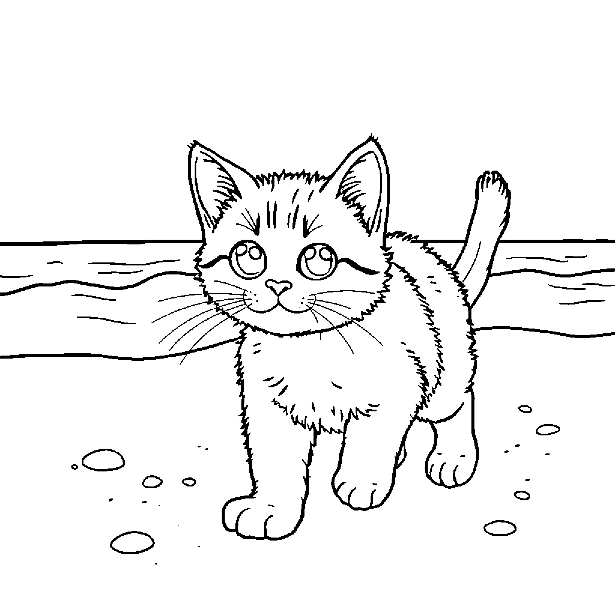 Cat exploring the beach Coloring Page (free black-and-white line drawing printable PDF for all, from beginners to advanced learners, including children, teens, adults, and seniors)