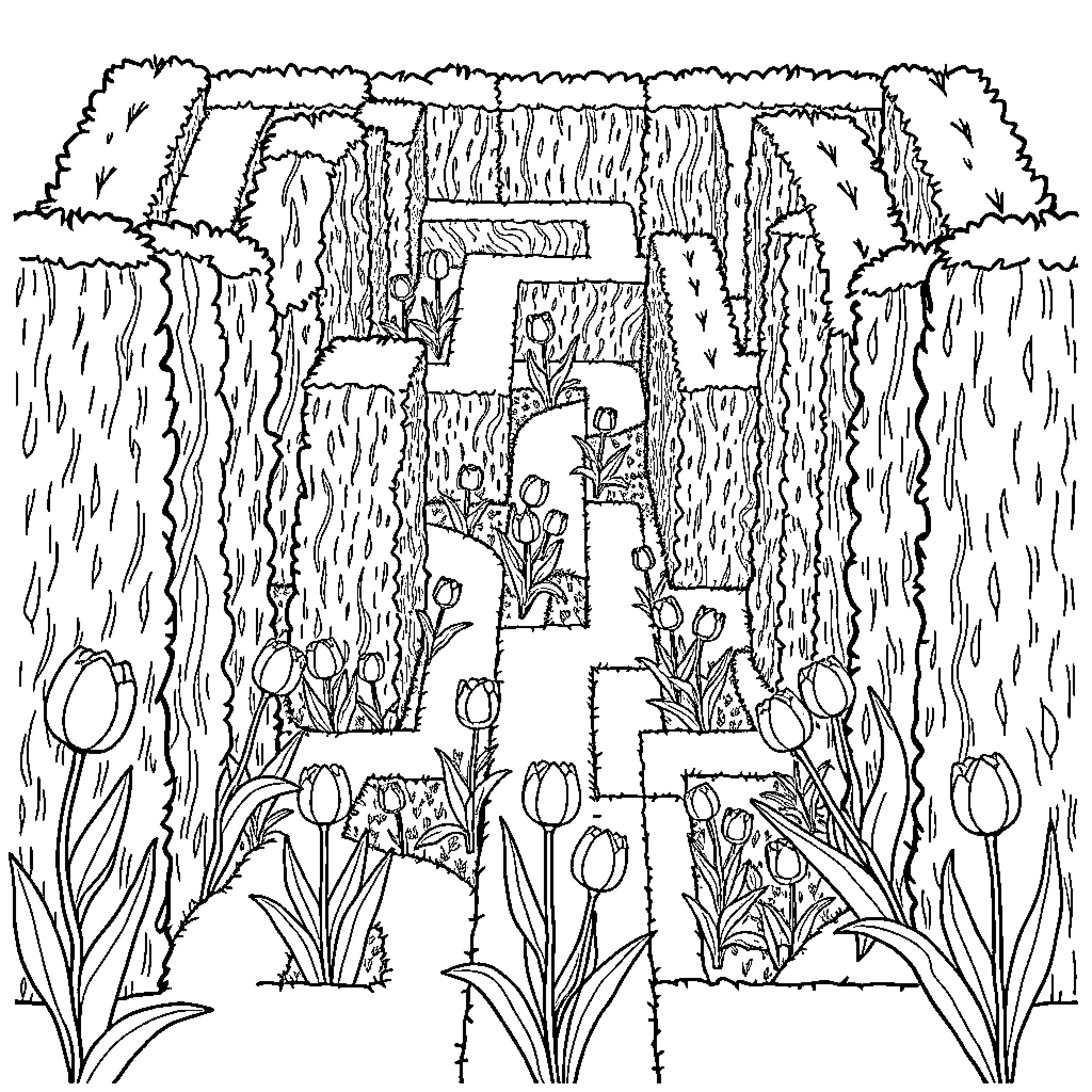 Maze of nature's wonders Coloring Page (free black-and-white line drawing printable PDF for all, from beginners to advanced learners, including children, teens, adults, and seniors)