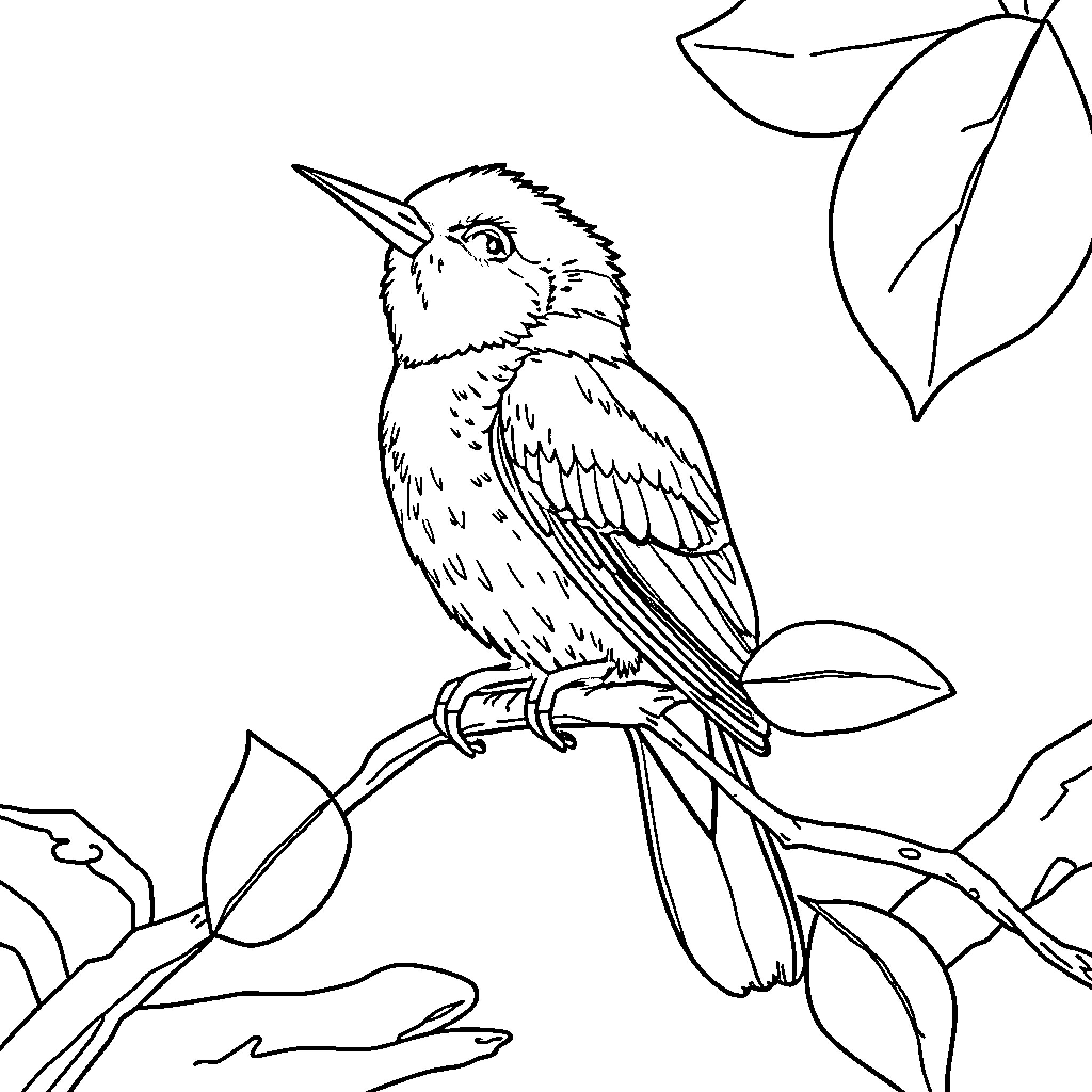 Bartolito the Curious Bird on a Leafy Branch Coloring Page (free black-and-white line drawing printable PDF for all, from beginners to advanced learners, including children, teens, adults, and seniors)