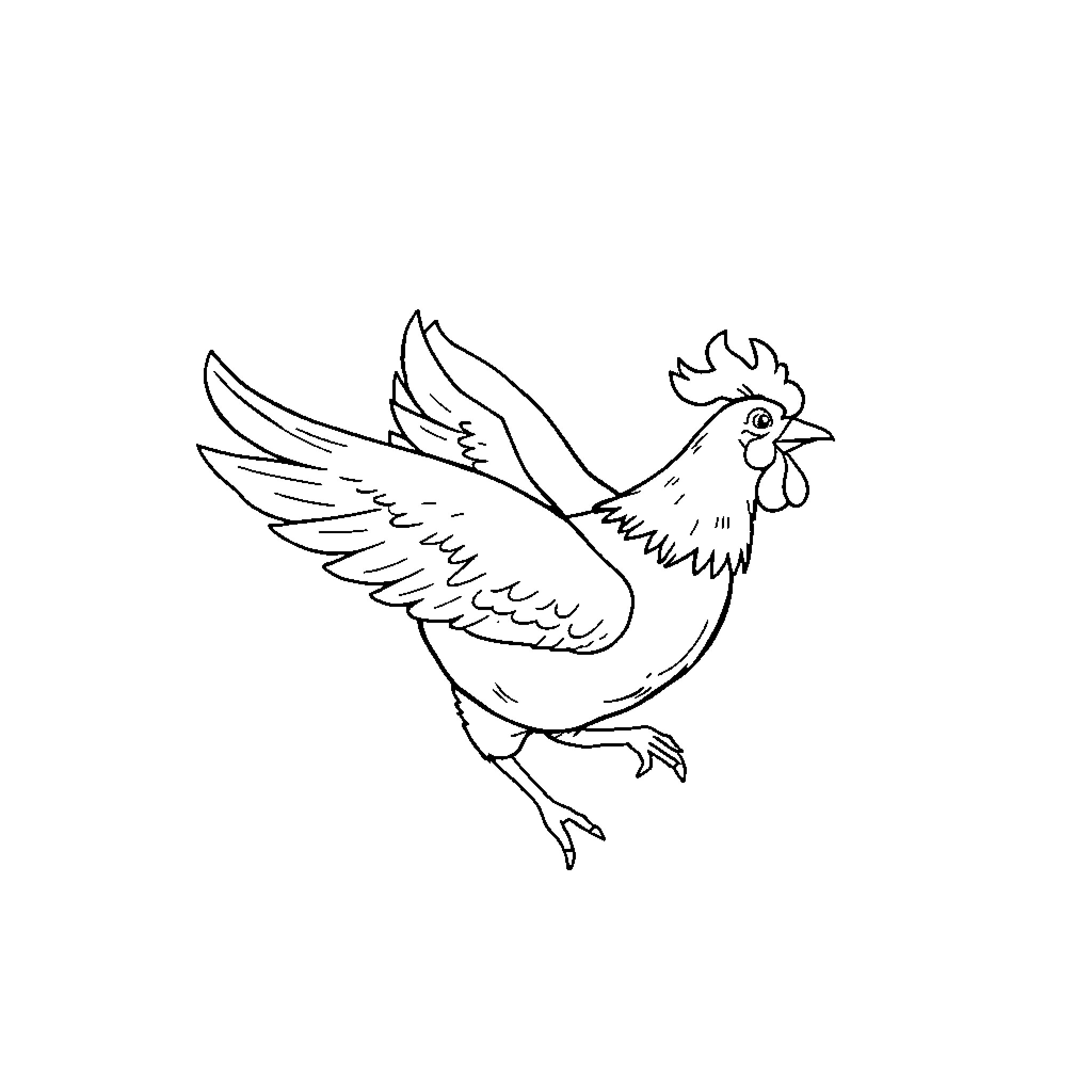 Chicken in motion with wings spread Coloring Page (free black-and-white line drawing printable PDF for all, from beginners to advanced learners, including children, teens, adults, and seniors)