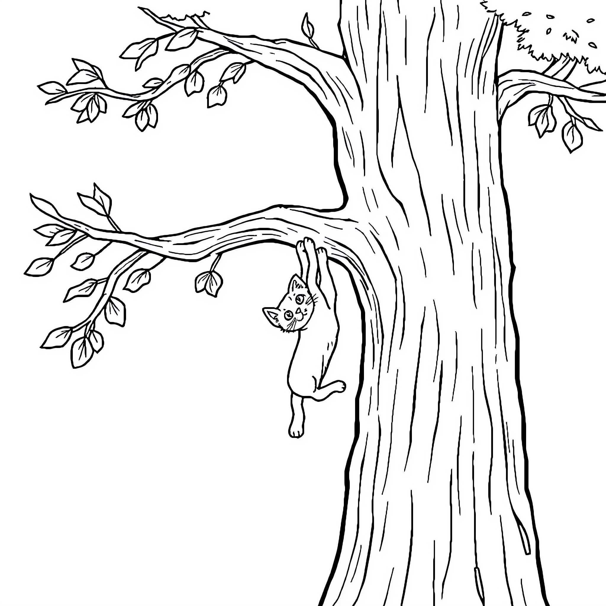 Cat climbing up a tree Coloring Page (free black-and-white line drawing printable PDF for all, from beginners to advanced learners, including children, teens, adults, and seniors)