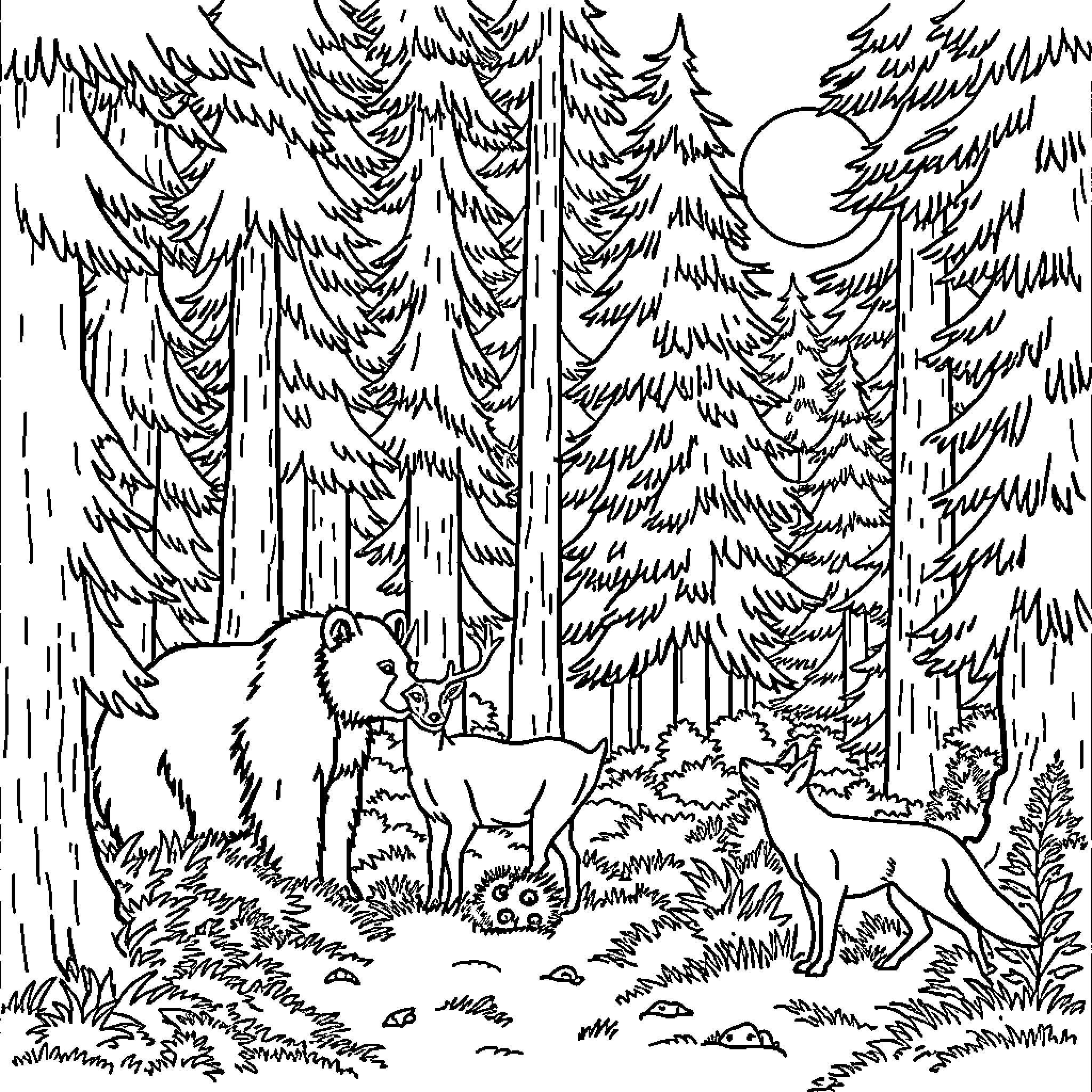 Animal scene in forest with wildlife Coloring Page (free black-and-white line drawing printable PDF for all, from beginners to advanced learners, including children, teens, adults, and seniors)