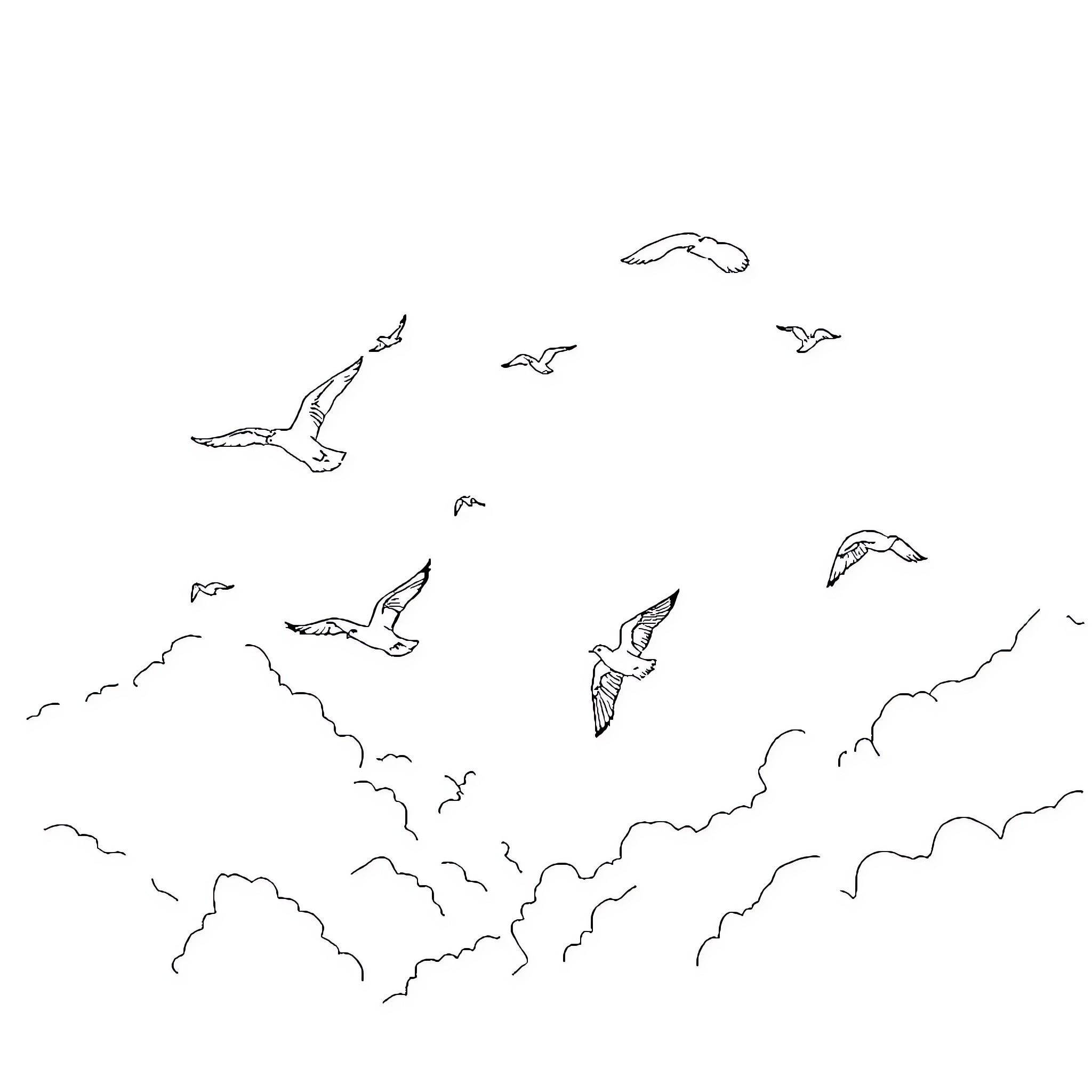 Birds soaring freely in the cloudy sky Coloring Page (free black-and-white line drawing printable PDF for all, from beginners to advanced learners, including children, teens, adults, and seniors)