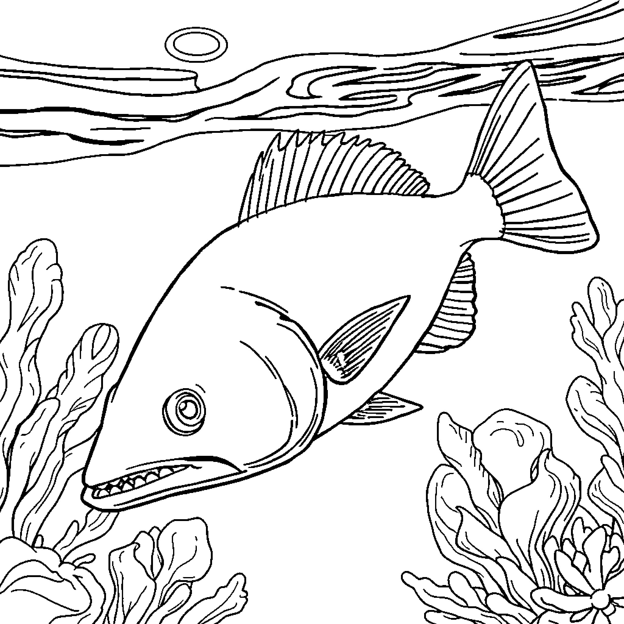 Atractosteus hunting in the underwater scenery Coloring Page (free black-and-white line drawing printable PDF for all, from beginners to advanced learners, including children, teens, adults, and seniors)